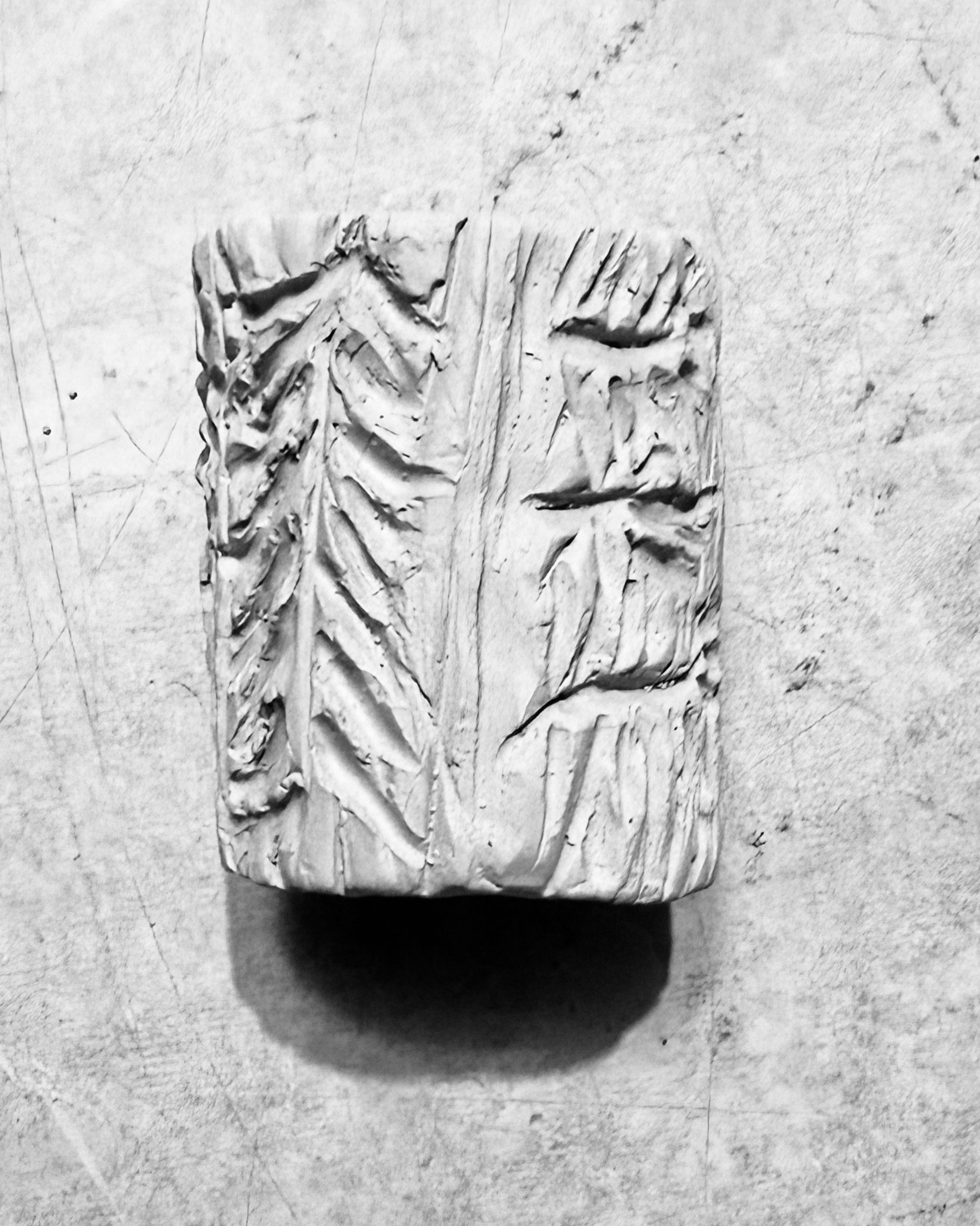 1.6.26 | Forest vingette