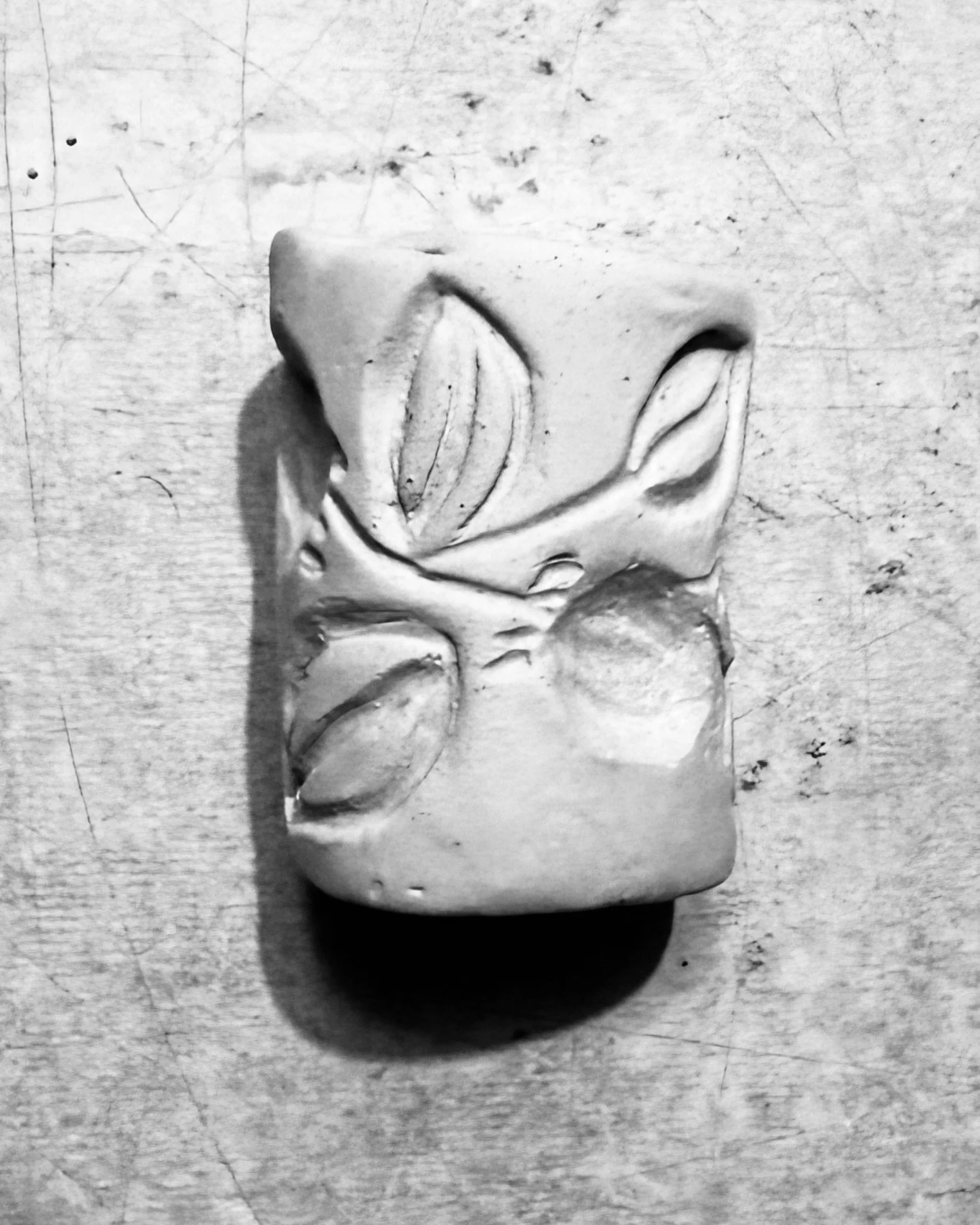 1.4.26 | Olive branch