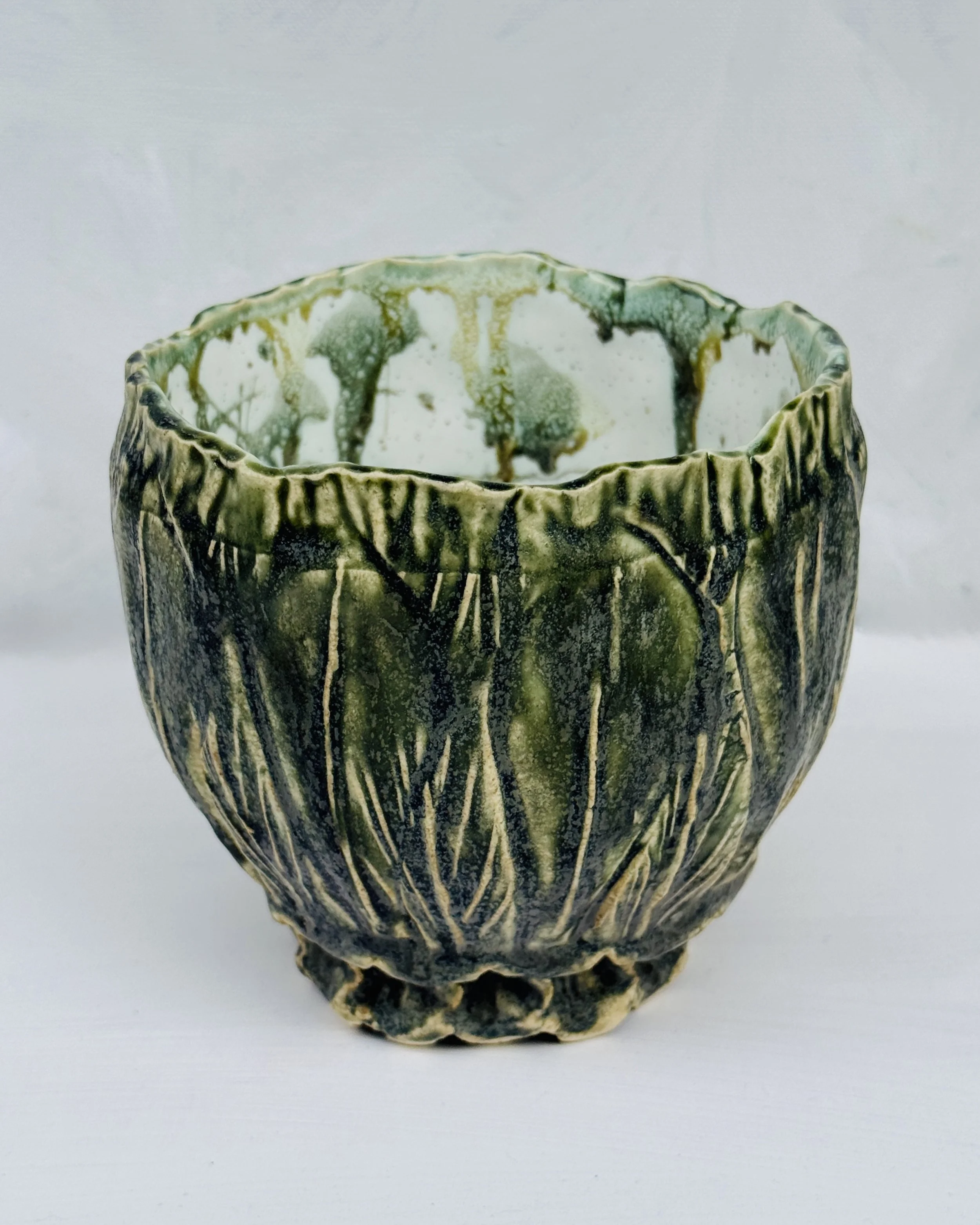 Rice Bowl with Succulent Leaves