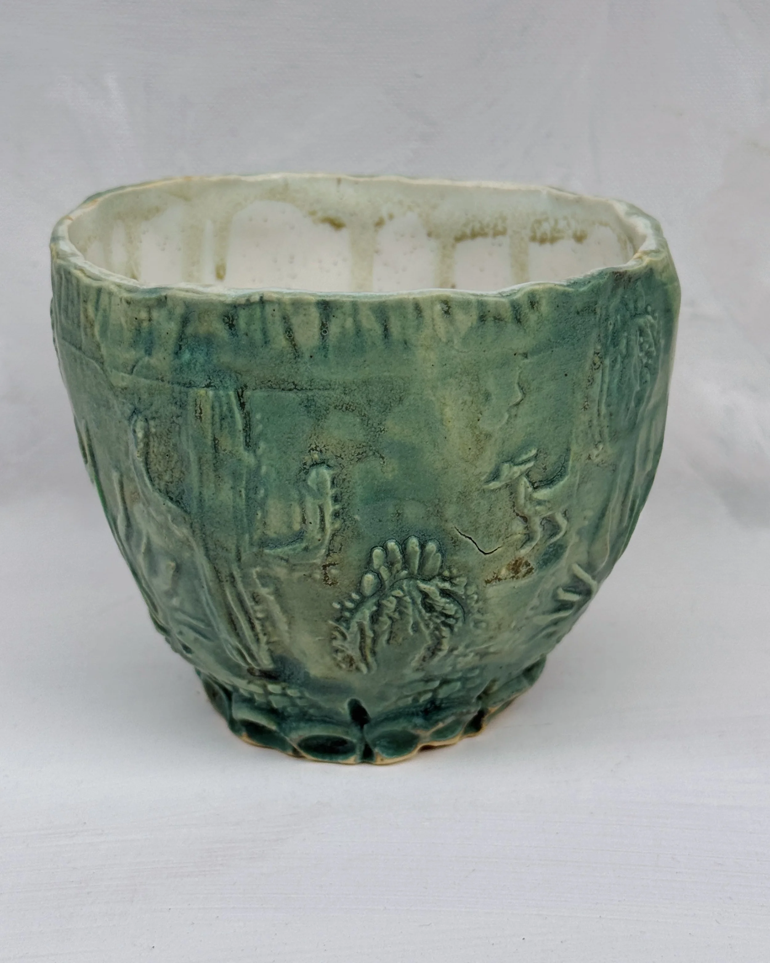 Rice Bowl with Roadrunner