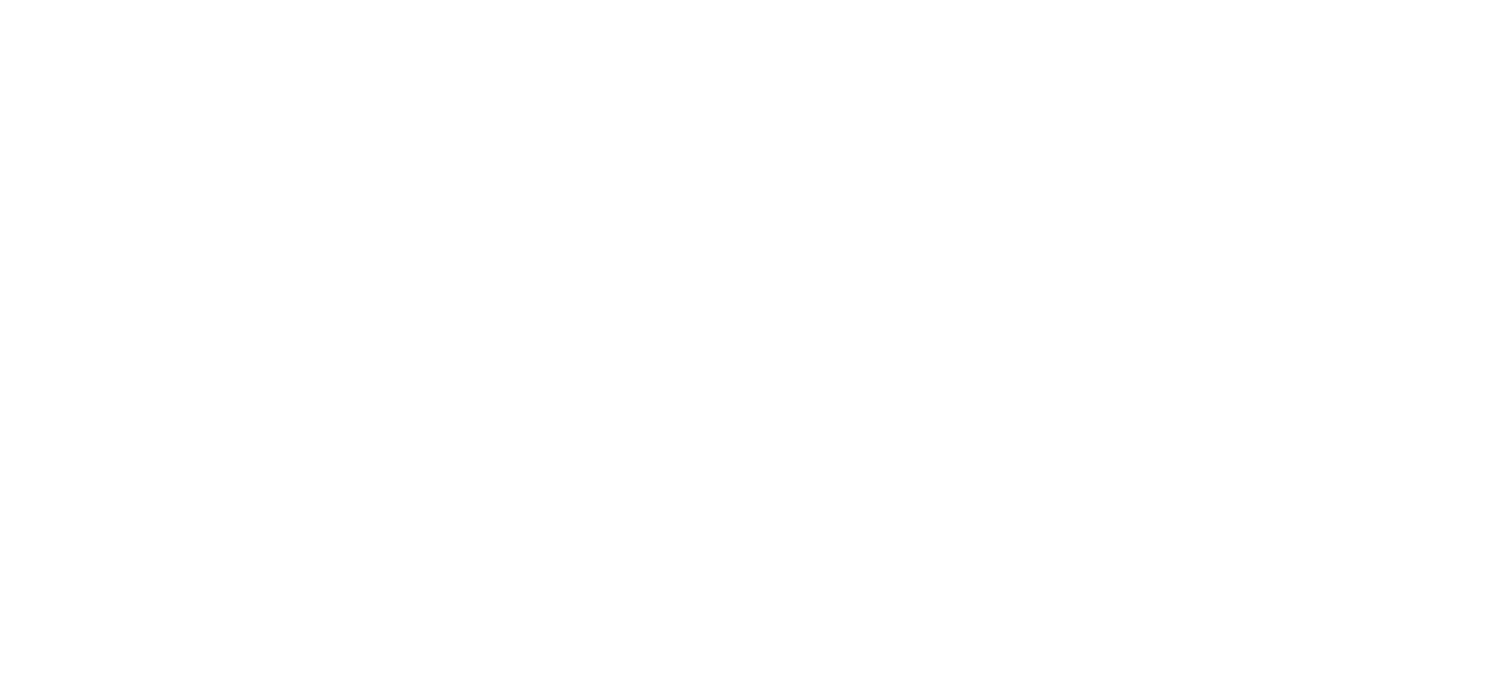 Fury Company