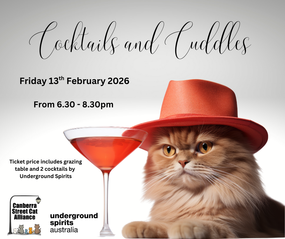 Cocktails and Cuddles - Friday 13th February