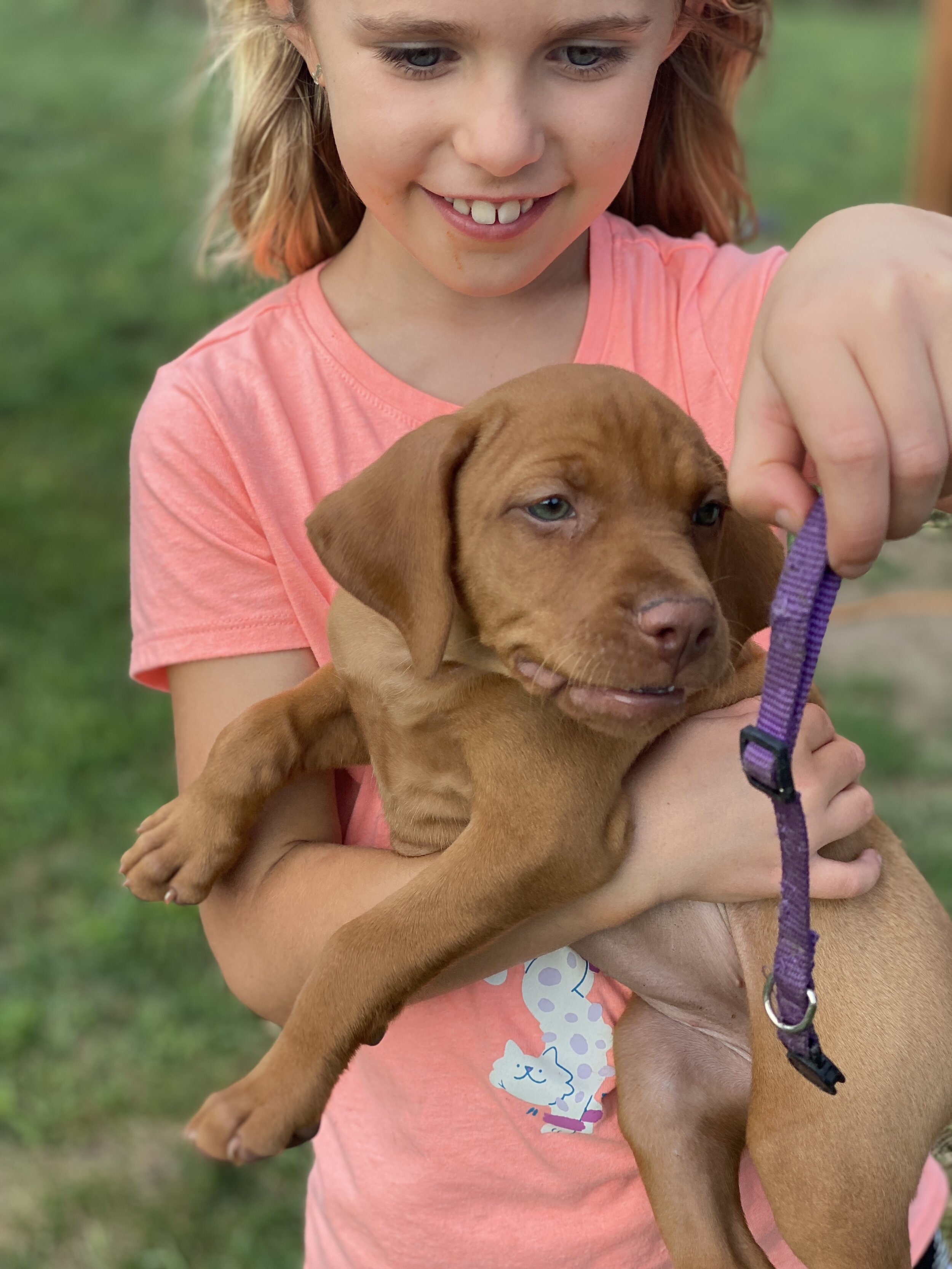 Betty (purple)