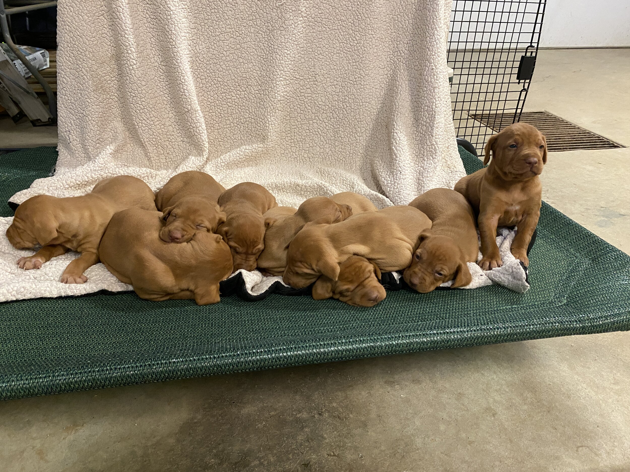 Group Shot - Week 3