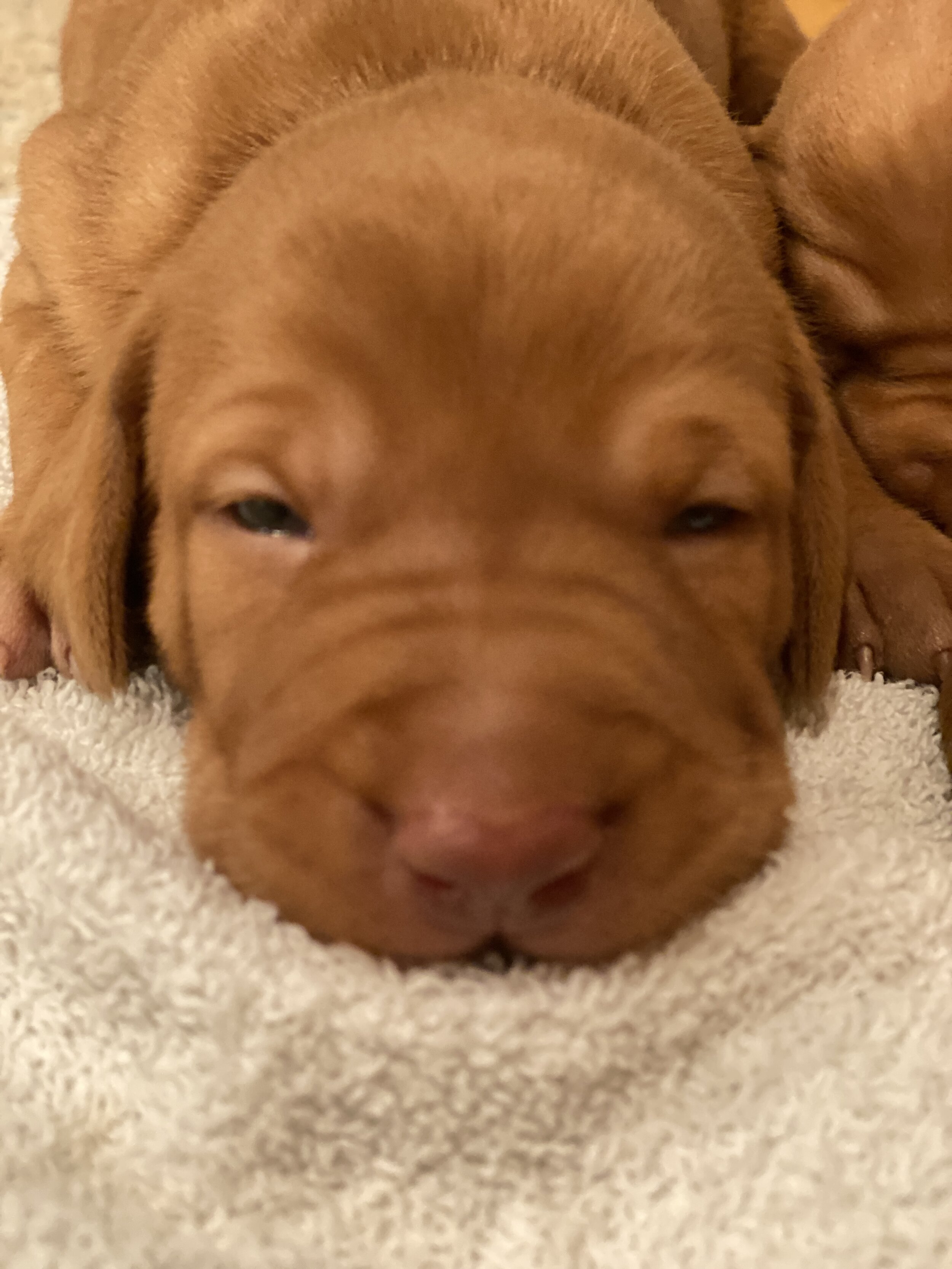 Eyes are starting to open