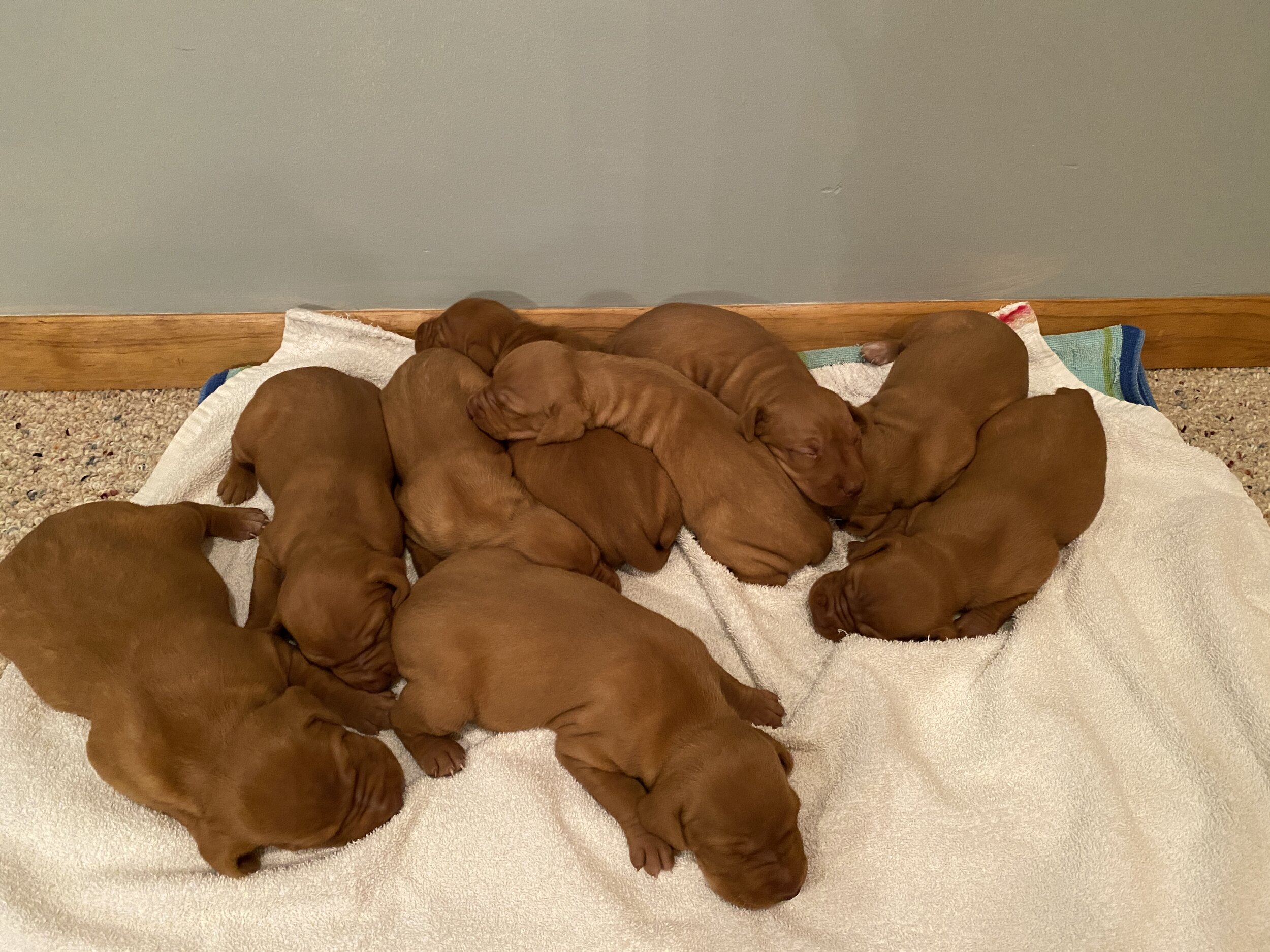 Group shot - Week 2