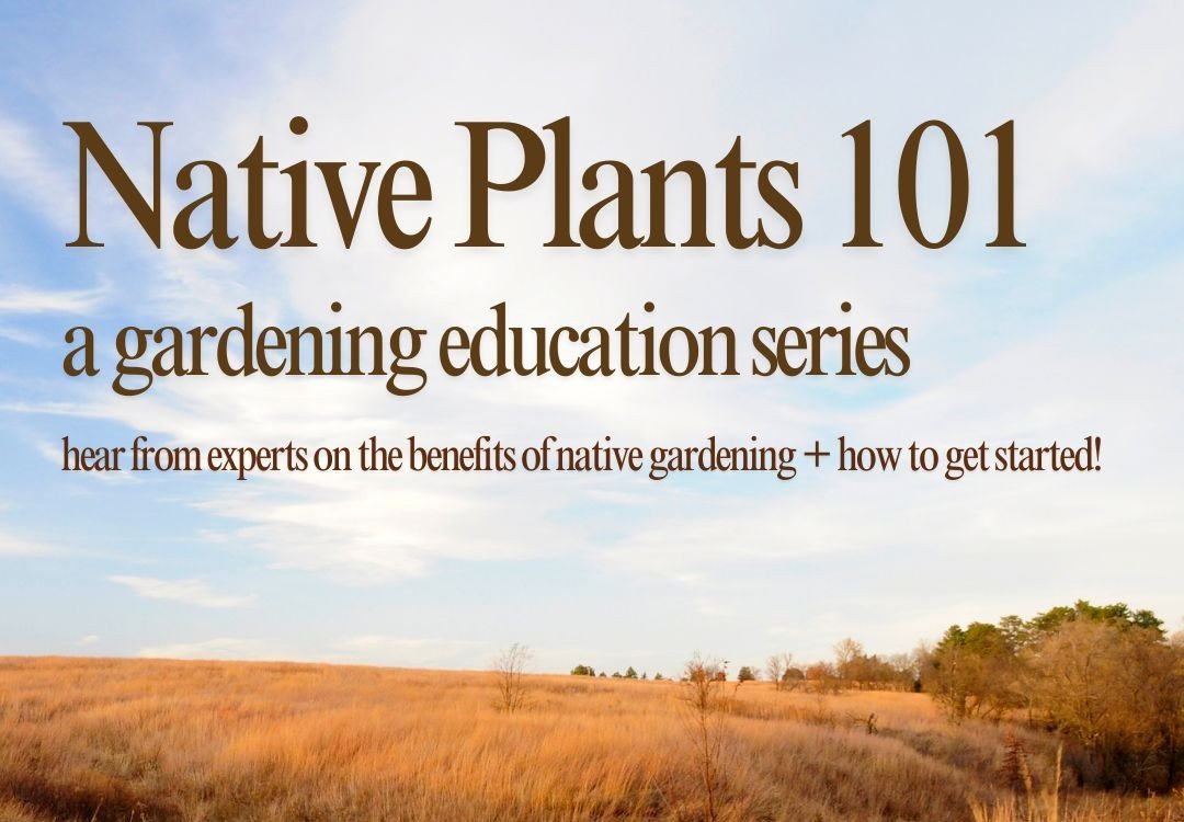 Native Plants 101 - organized by Victoria Bogatz, NE Youth Poet Laureate - 1 of 4