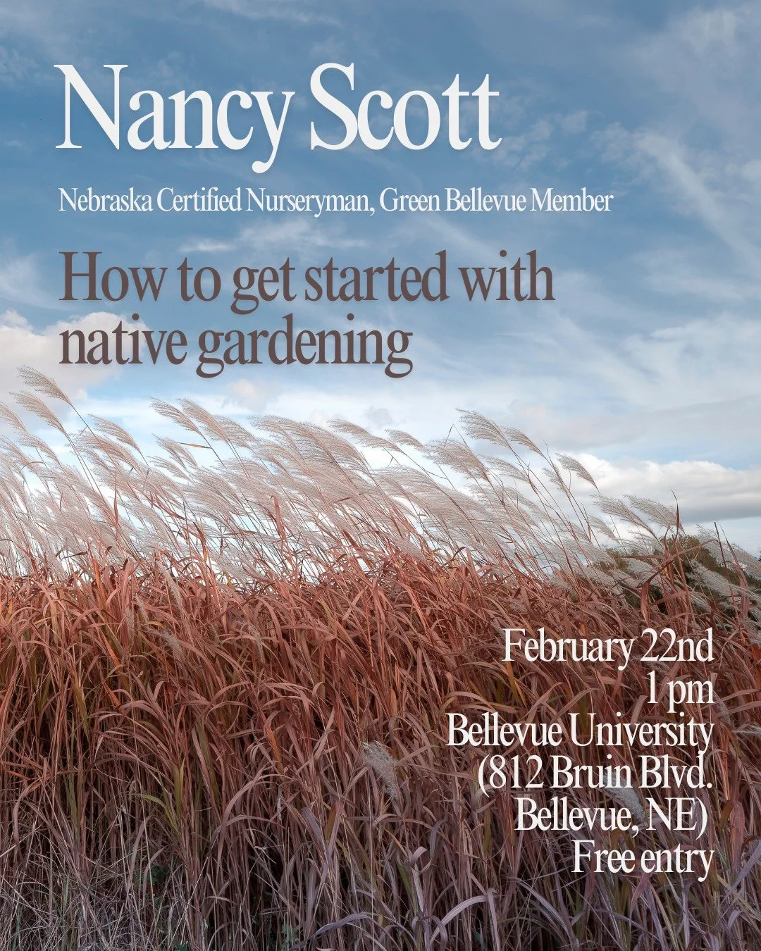 Native Plants 101 - How to Get Start w/Native Gardening