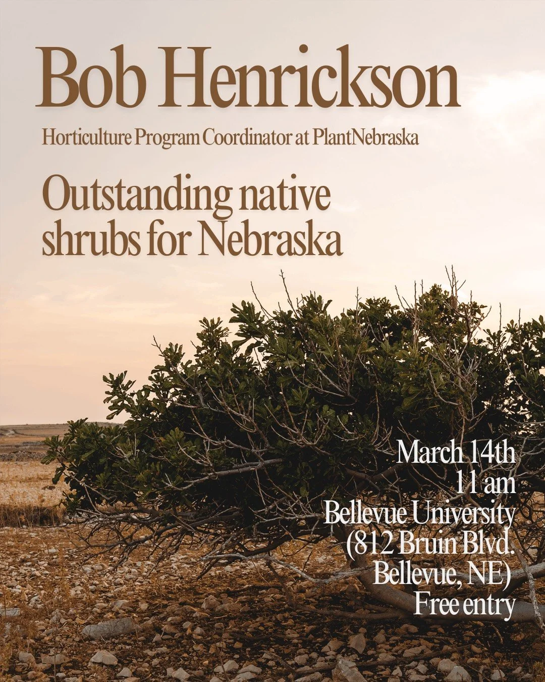 Native Plants 101 - Outstanding Native Shrubs for Nebraska