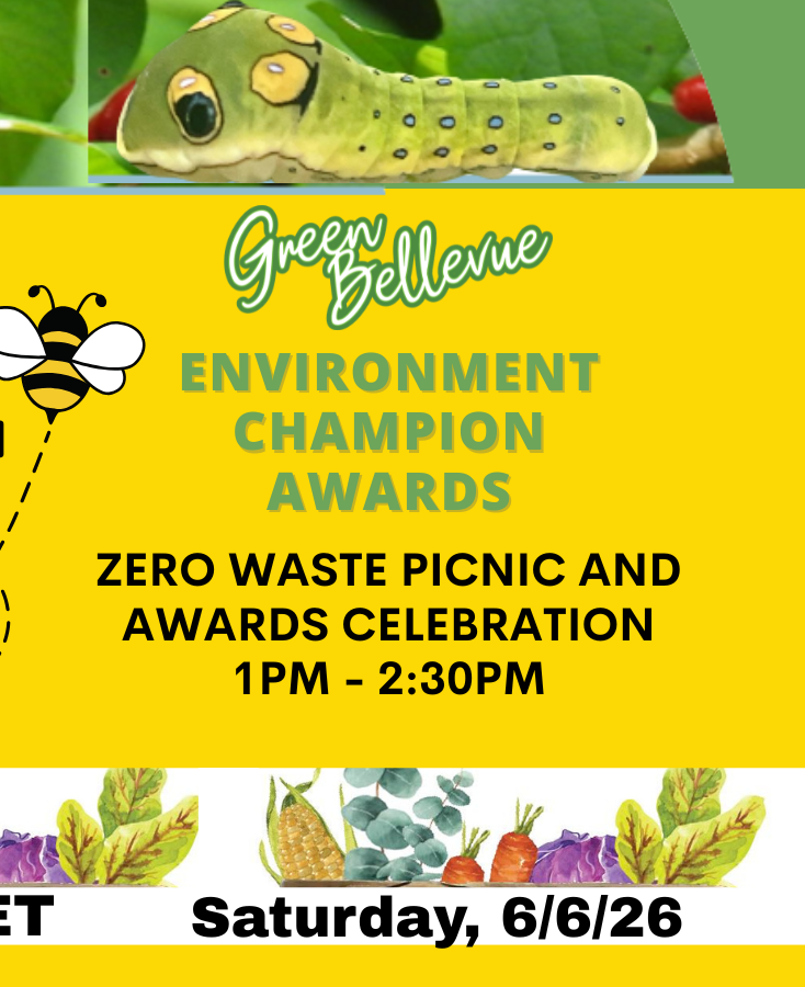 Zero Waste Recognition Picnic