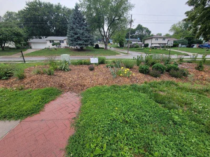 Thursday Public Gardening Opportunity