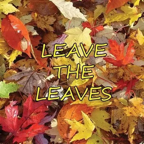 Leave the Leaves