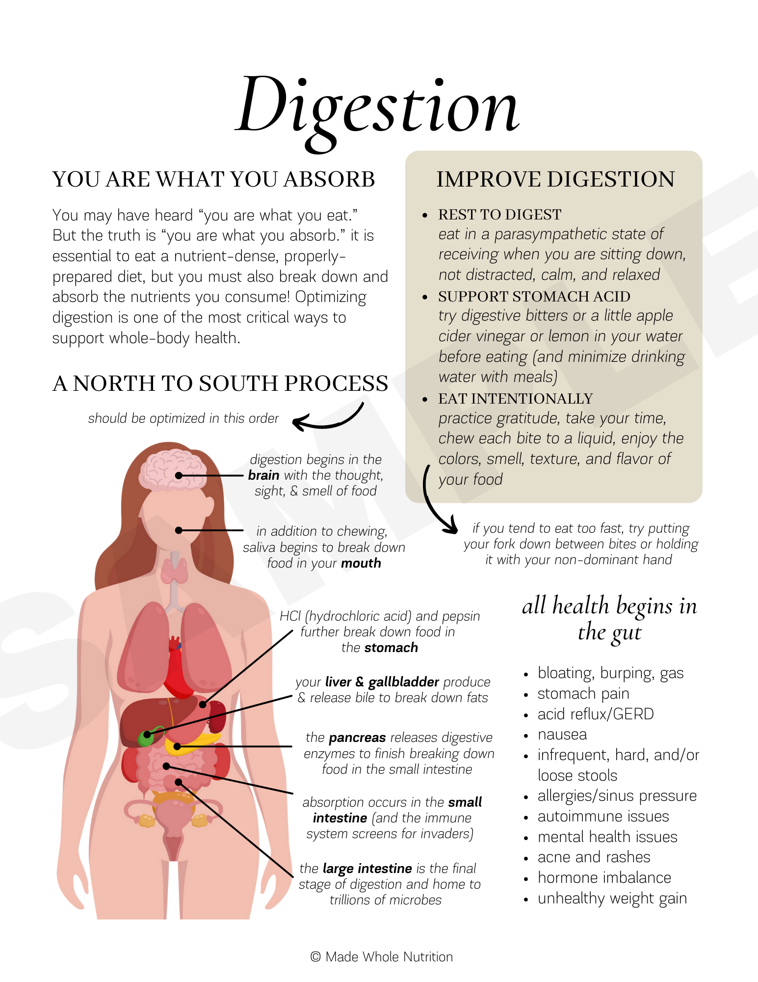 Digestion Foundation white woman