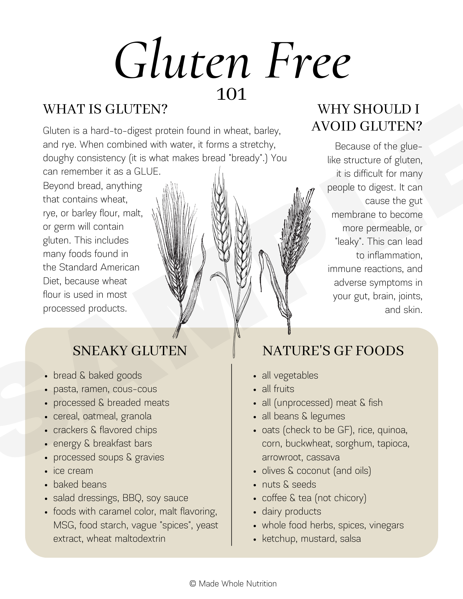 Anti-Inflammatory Diet 101 Handout — Functional Health Research ...