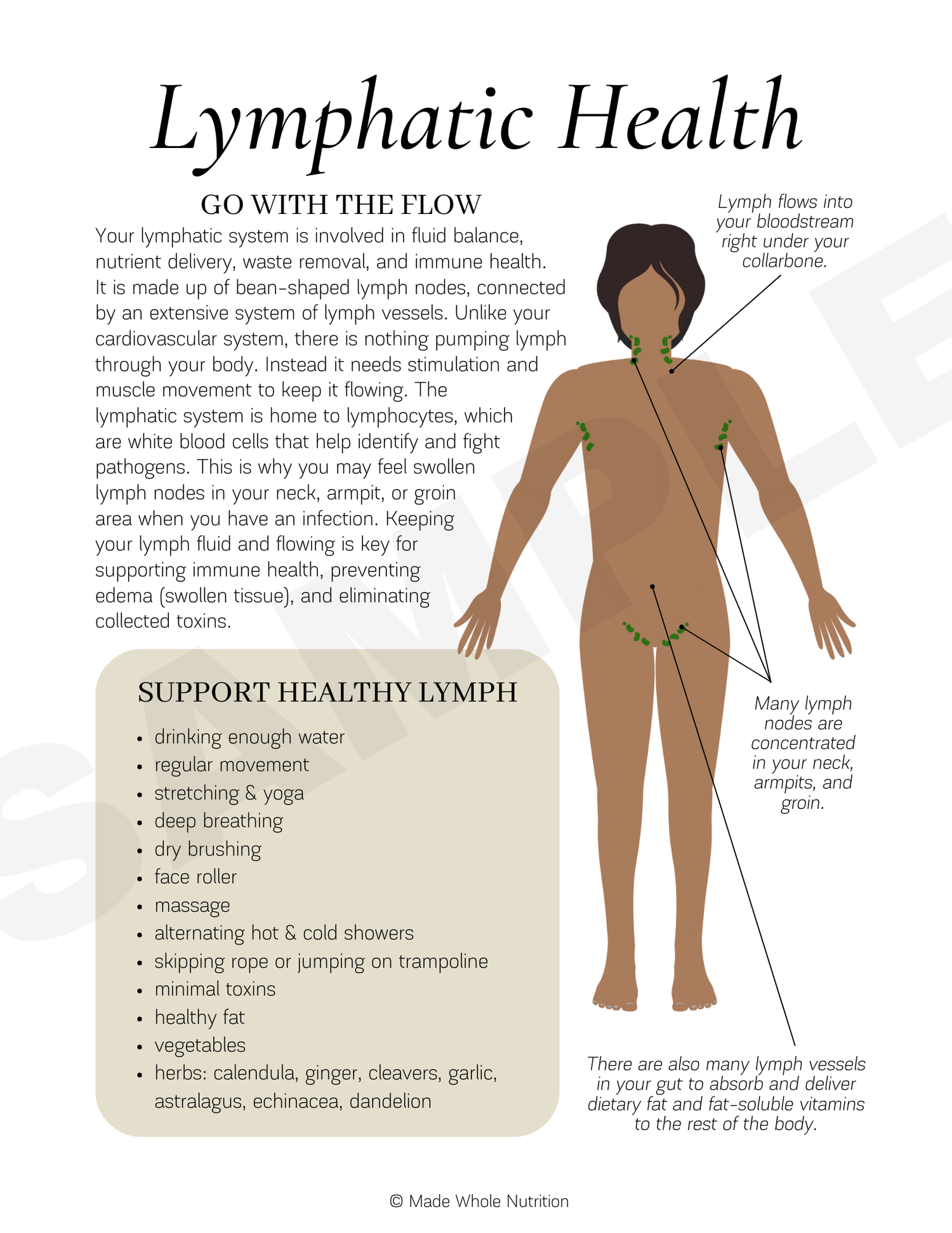 Lymphatic System Flow Chart