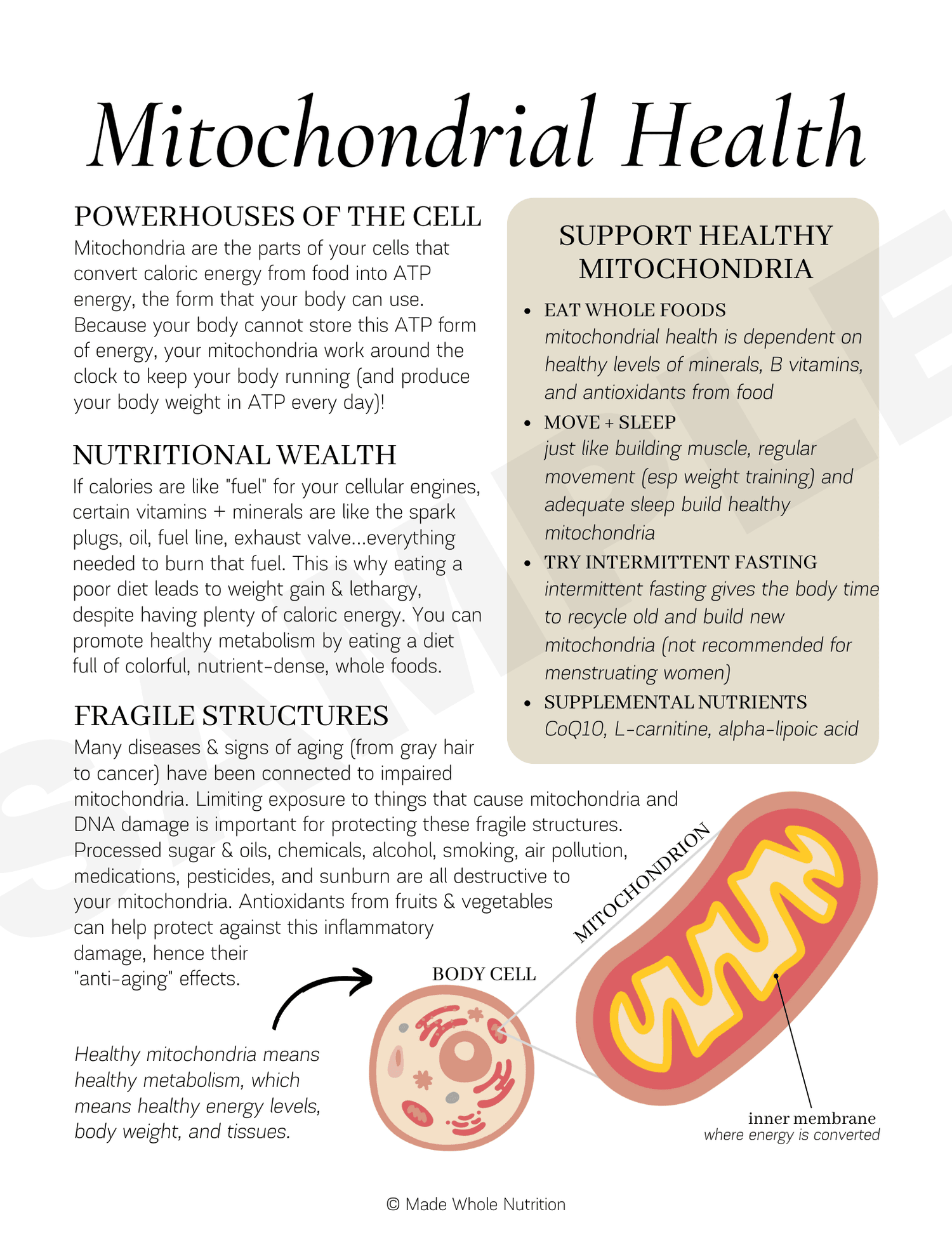 Mitochondrial Health Handout Functional Health Research + Resources Made Whole Nutrition Mitochondrial Health Handout Functional Health Research + Resources Made Whole Nutrition
