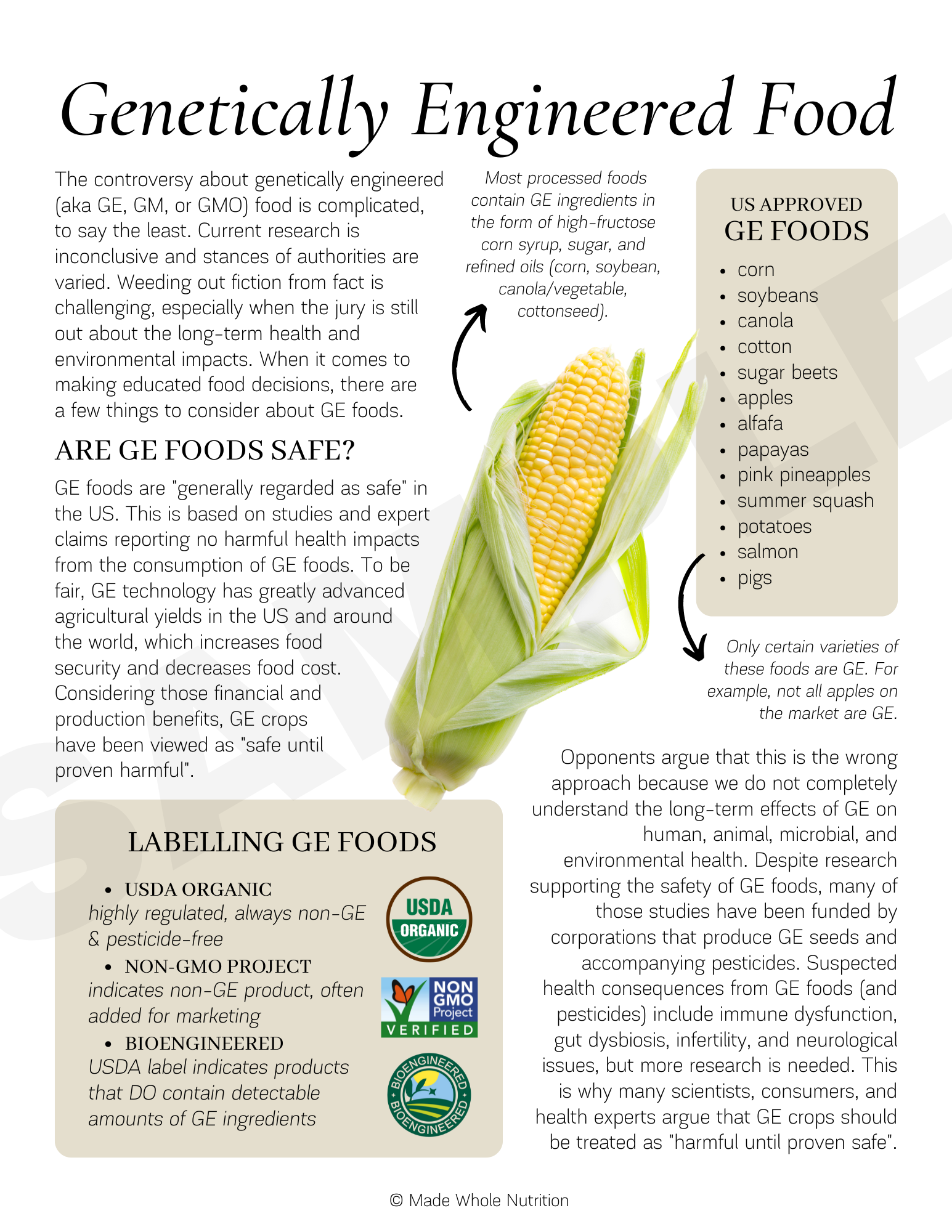 "Plant-Based" Explained Handout — Functional Health Research ...