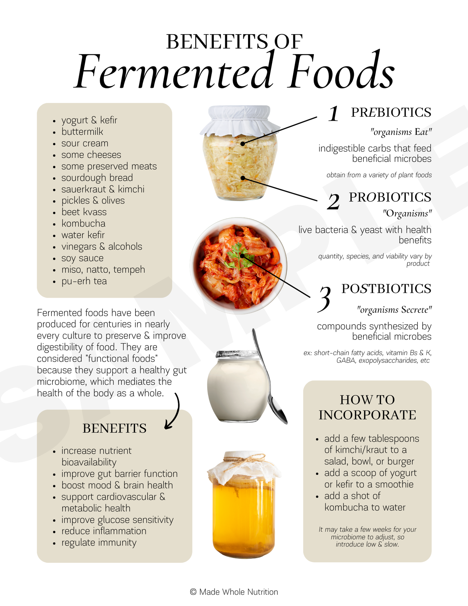 III. Understanding Fermentation Process