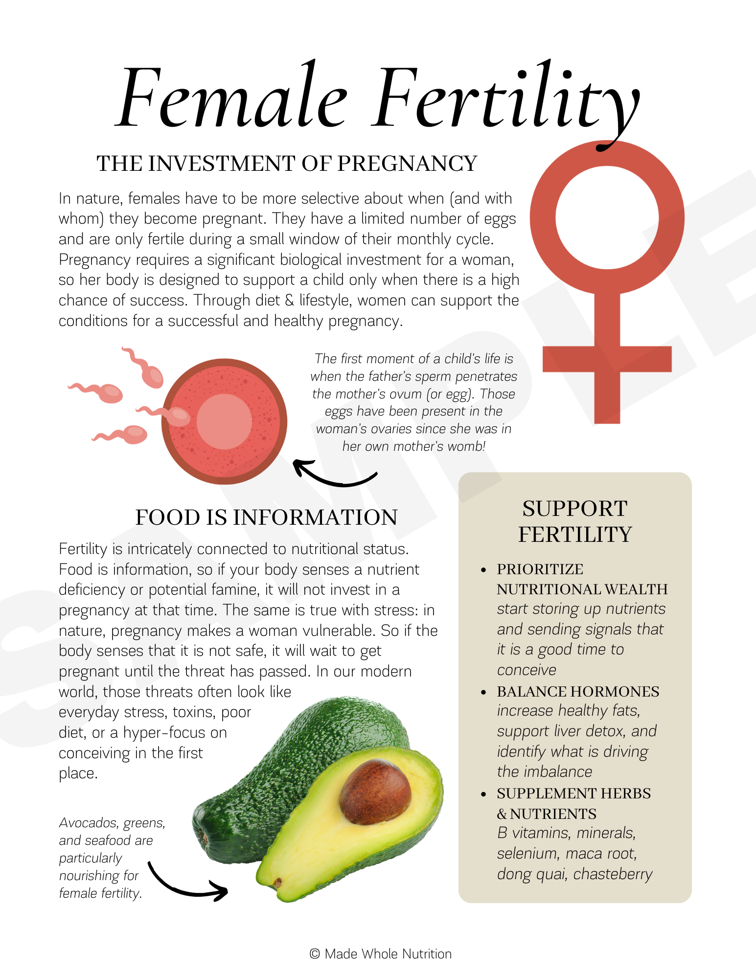 Seed Cycling Handout — Functional Health Research + Resources — Made Whole Nutrition