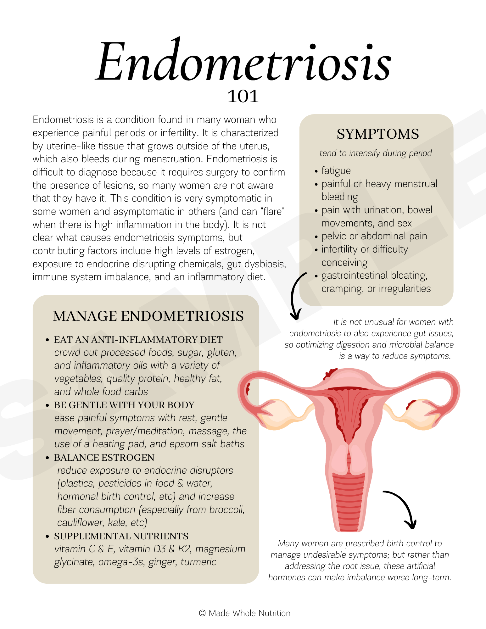 Menstrual Phase Cycle Syncing Guide — Functional Health Research +  Resources — Made Whole Nutrition