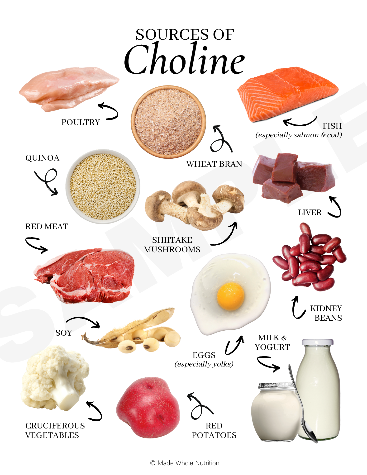 Sources of Choline Handout — Functional Health Research + Resources ...