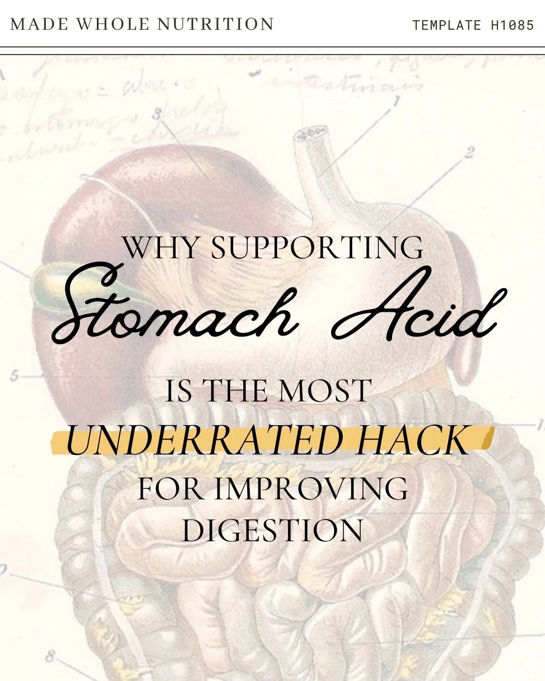 why supporting STOMACH ACID is one of the most underrated thing you can do to improve digestion 
.
.
.
#fxnutrition #fxmed #nutrition #functionalnutrition #functionalmedicine