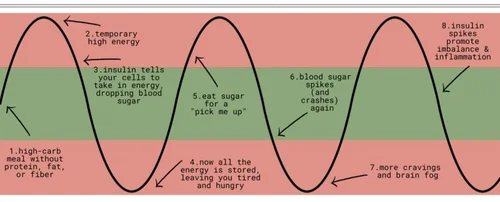 BLOOD SUGAR RHYTHM (how diet impacts insulin & cortisol) — Functional ...