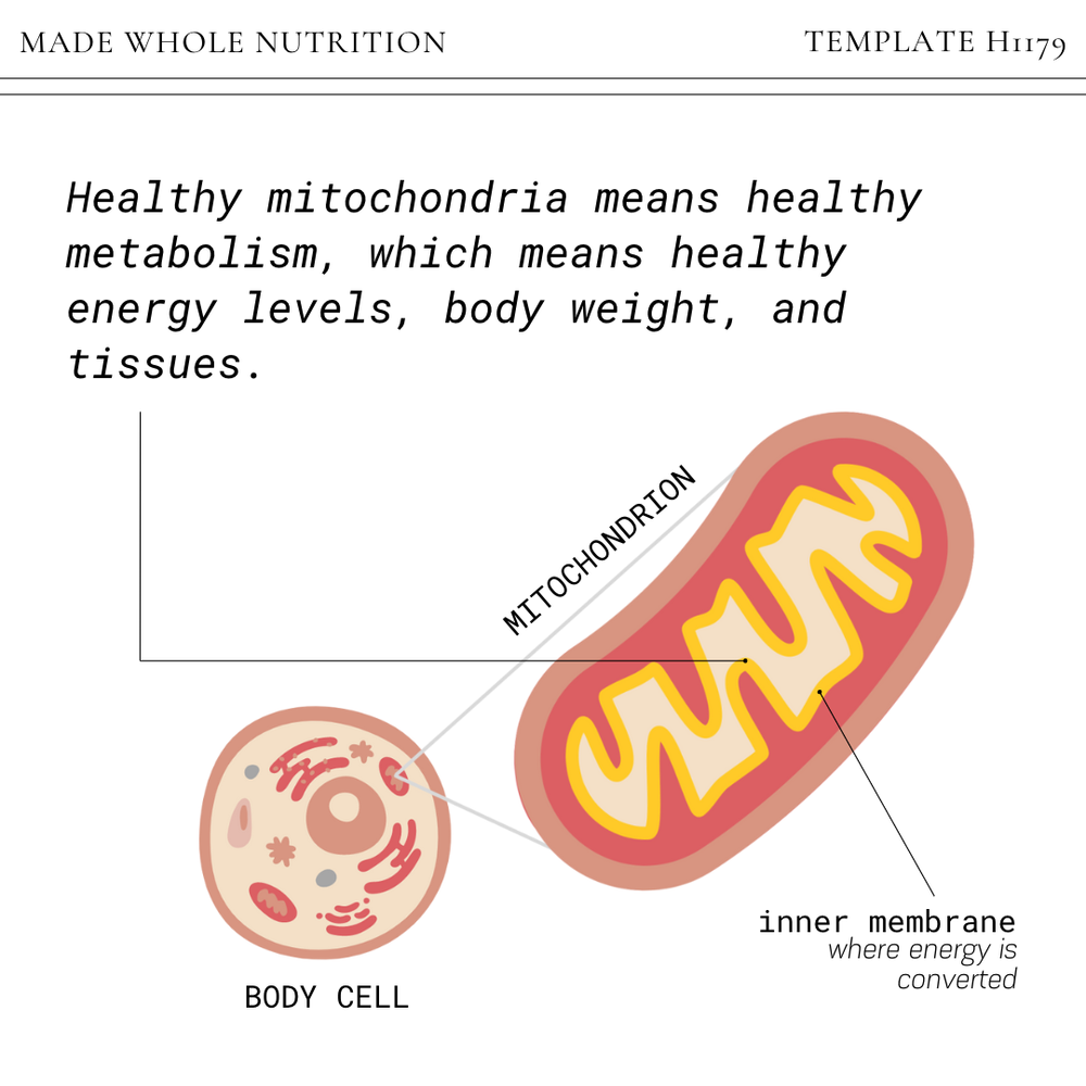 Top foods for mitochondrial health
