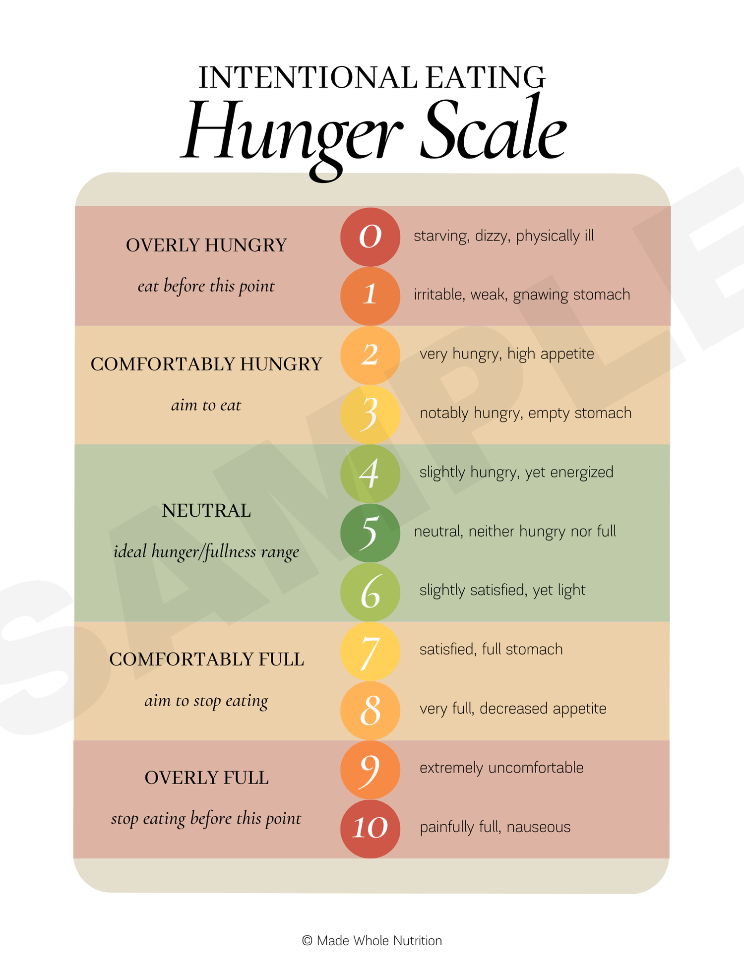 All Handouts Bundle — Functional Health Research + Resources — Made ...