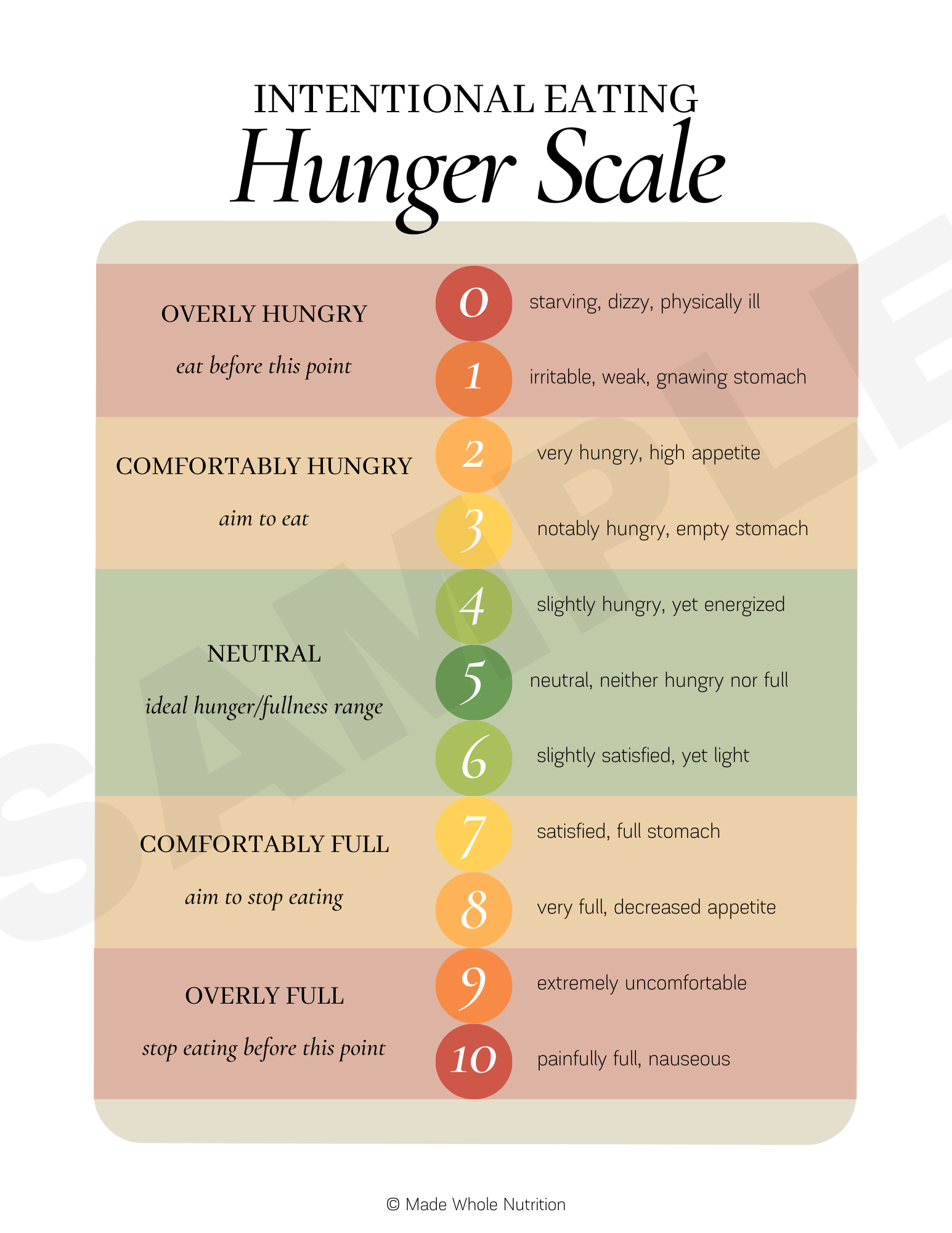 All Handouts Bundle — Functional Health Research + Resources — Made ...