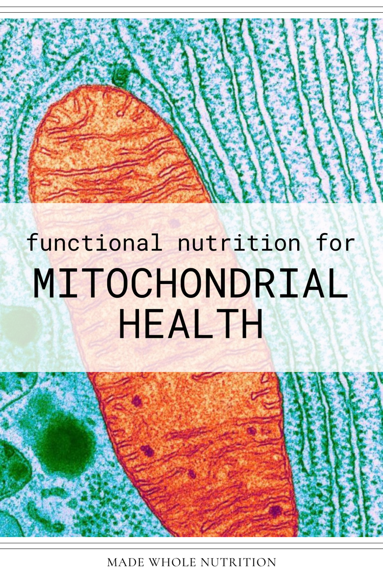 Functional Nutrition for Mitochondrial Health — Functional Health