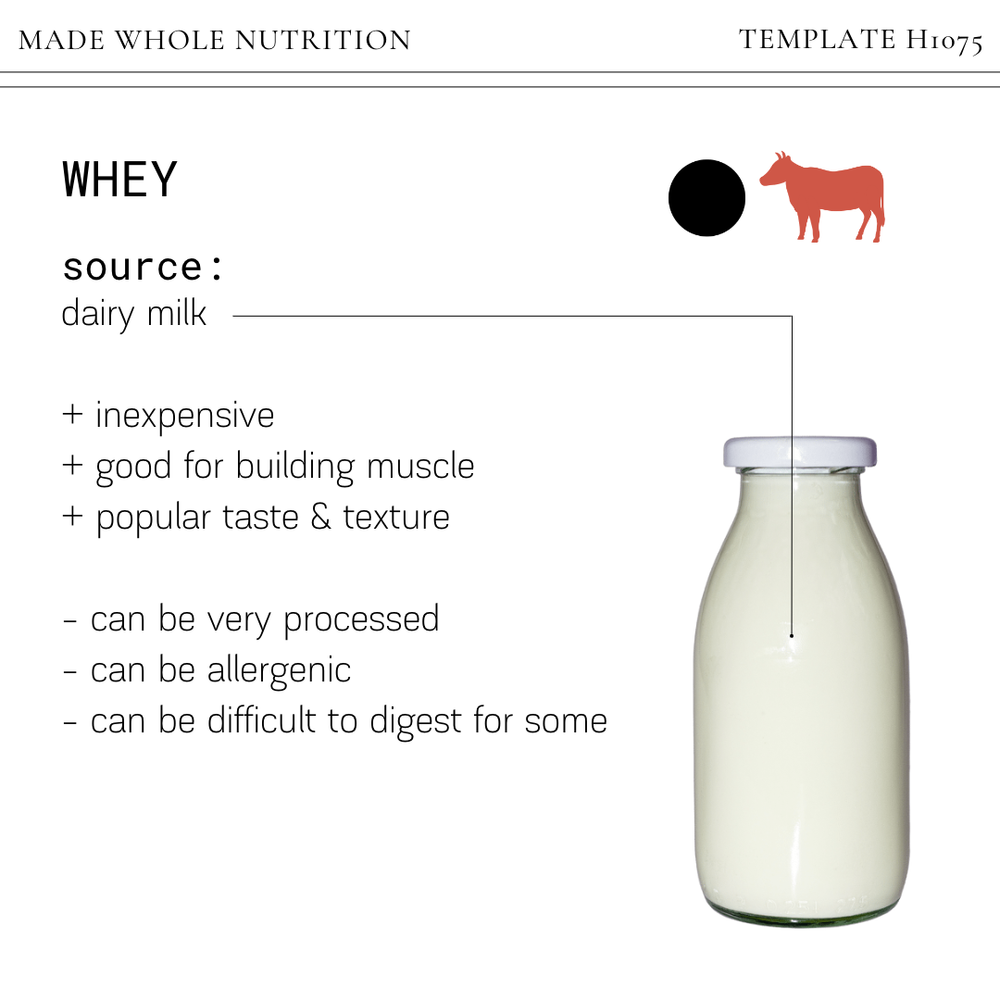 A Simple Guide to Protein Powder — Functional Health Research