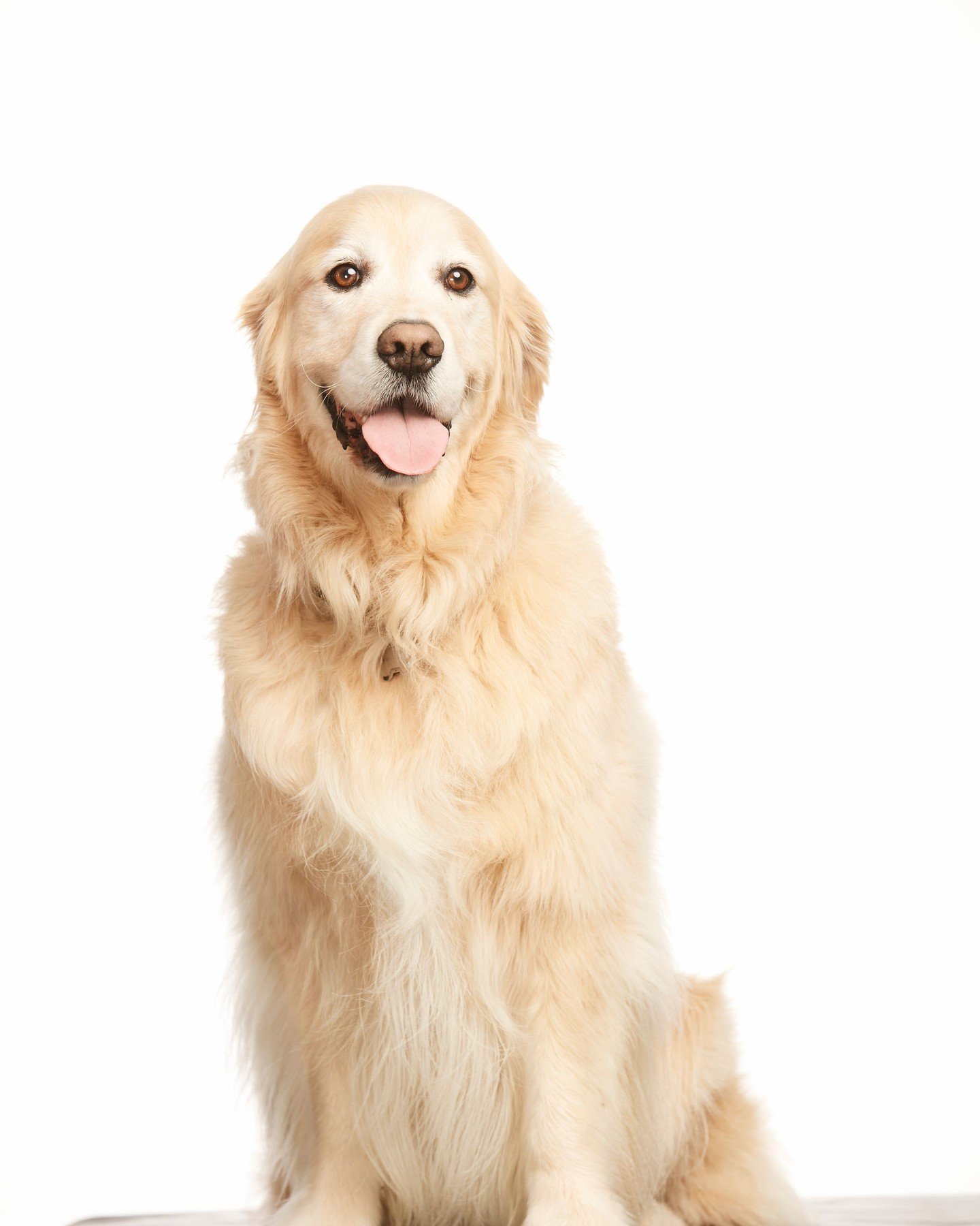 𝗪𝗲&rsquo;𝗿𝗲 𝗵𝗶𝗿𝗶𝗻𝗴 𝗮 𝗦𝘁𝗿𝗲𝗻𝗴𝘁𝗵 &amp; 𝗠𝗼𝘃𝗲𝗺𝗲𝗻𝘁 𝗖𝗼𝗮𝗰𝗵

We are looking for a coach who values strength, movement quality, and long-term development.

We coach:
&bull; Adults (30s&ndash;60+) training for health &amp; longev