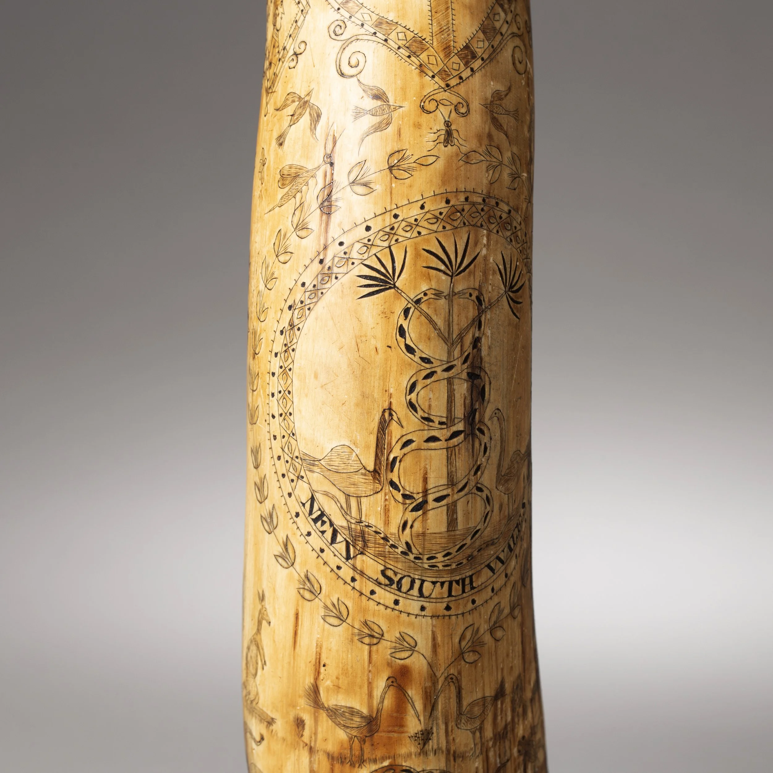 2311-Early-Colonial-Australian-Engraved-Powder-Horn-Australia-Art-Blackburn-2.jpg