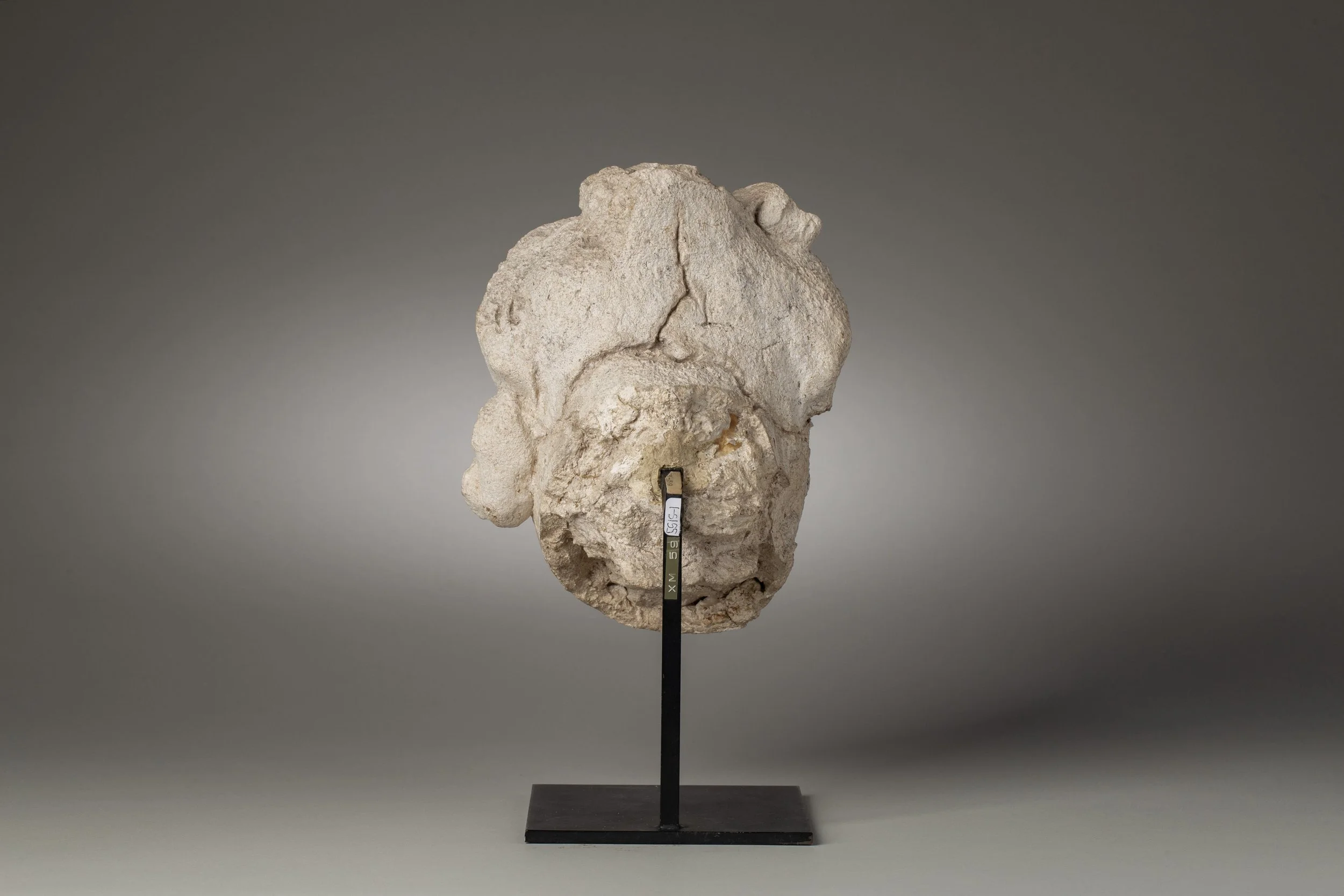 PB 2763d IMG_2869.jpeg