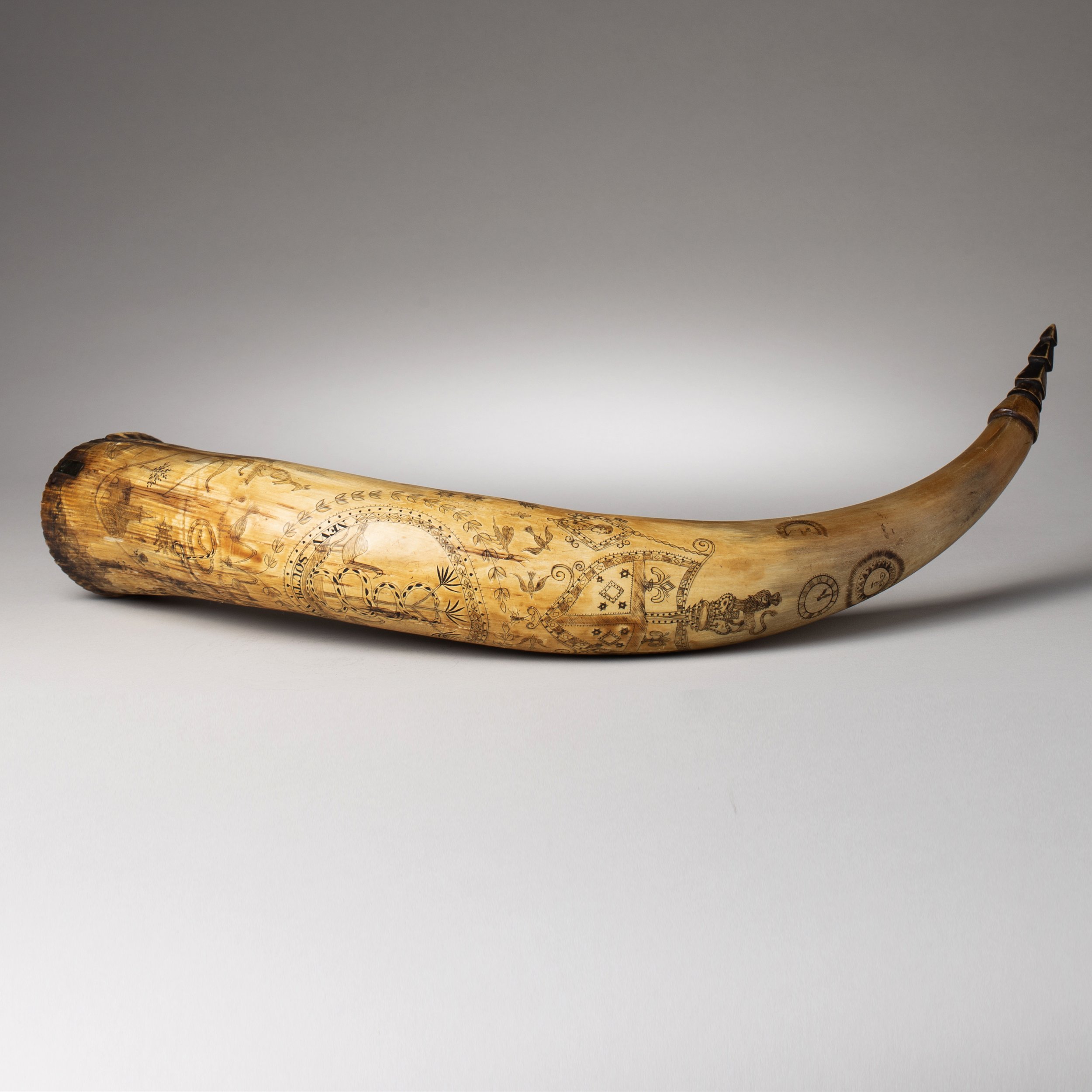 2311-Early-Colonial-Australian-Engraved-Powder-Horn-Australia-Art-Blackburn-1.jpg