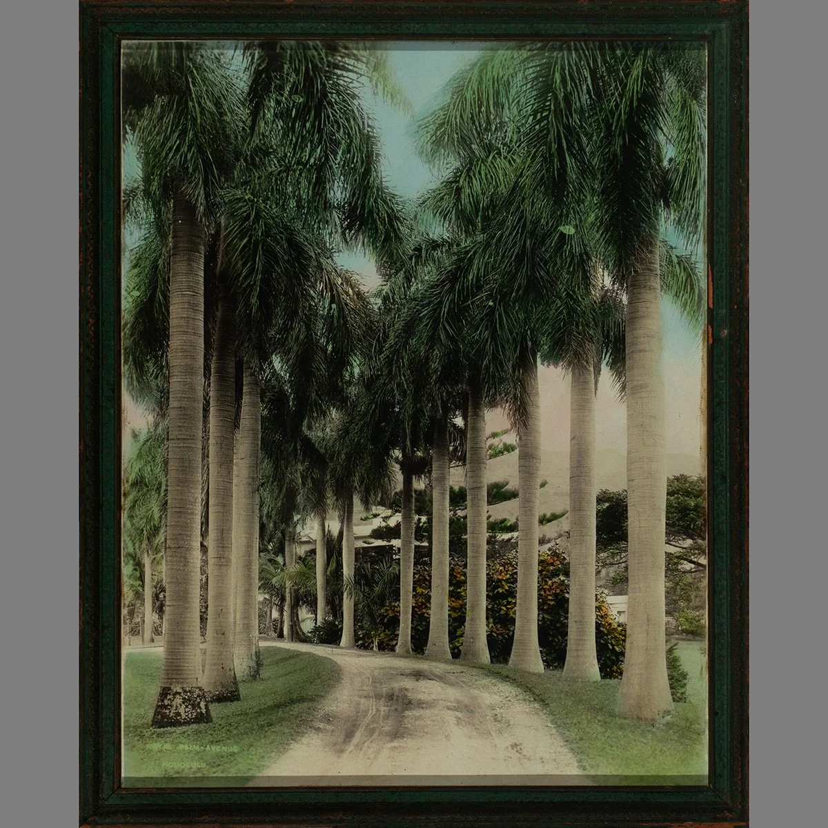 2645-Royal-Palm-Avenue-Honolulu-Photo-Hawaii-Art-Bklackburn-1.jpg