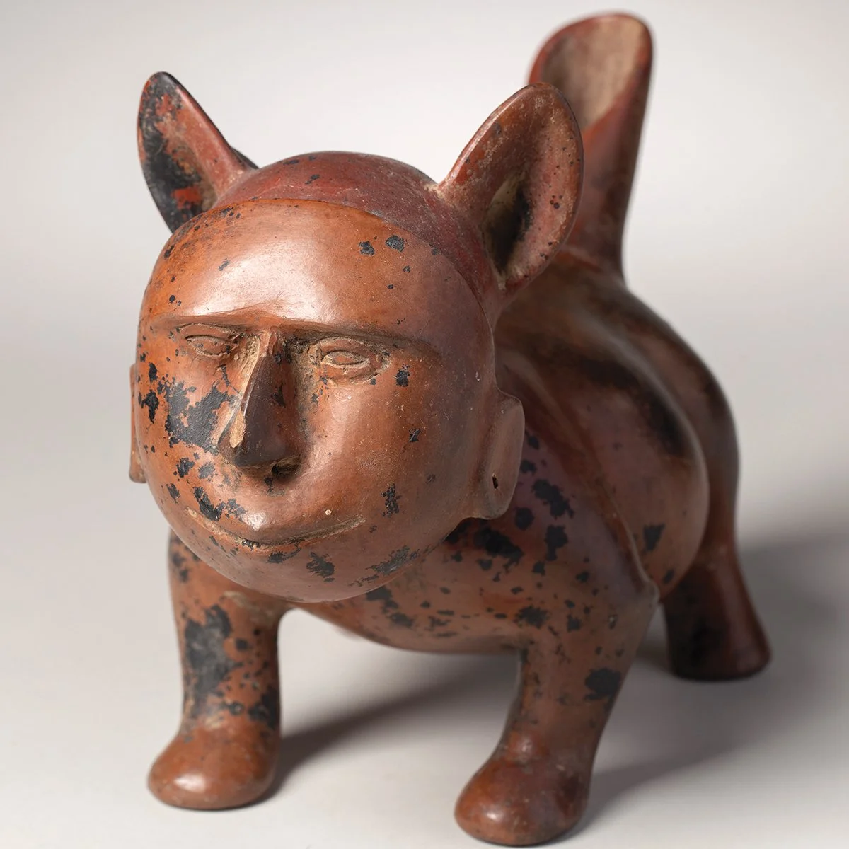 1074-Colima-Dog-Mask-Pre-Columbian-Art-Blackburn-5.jpg