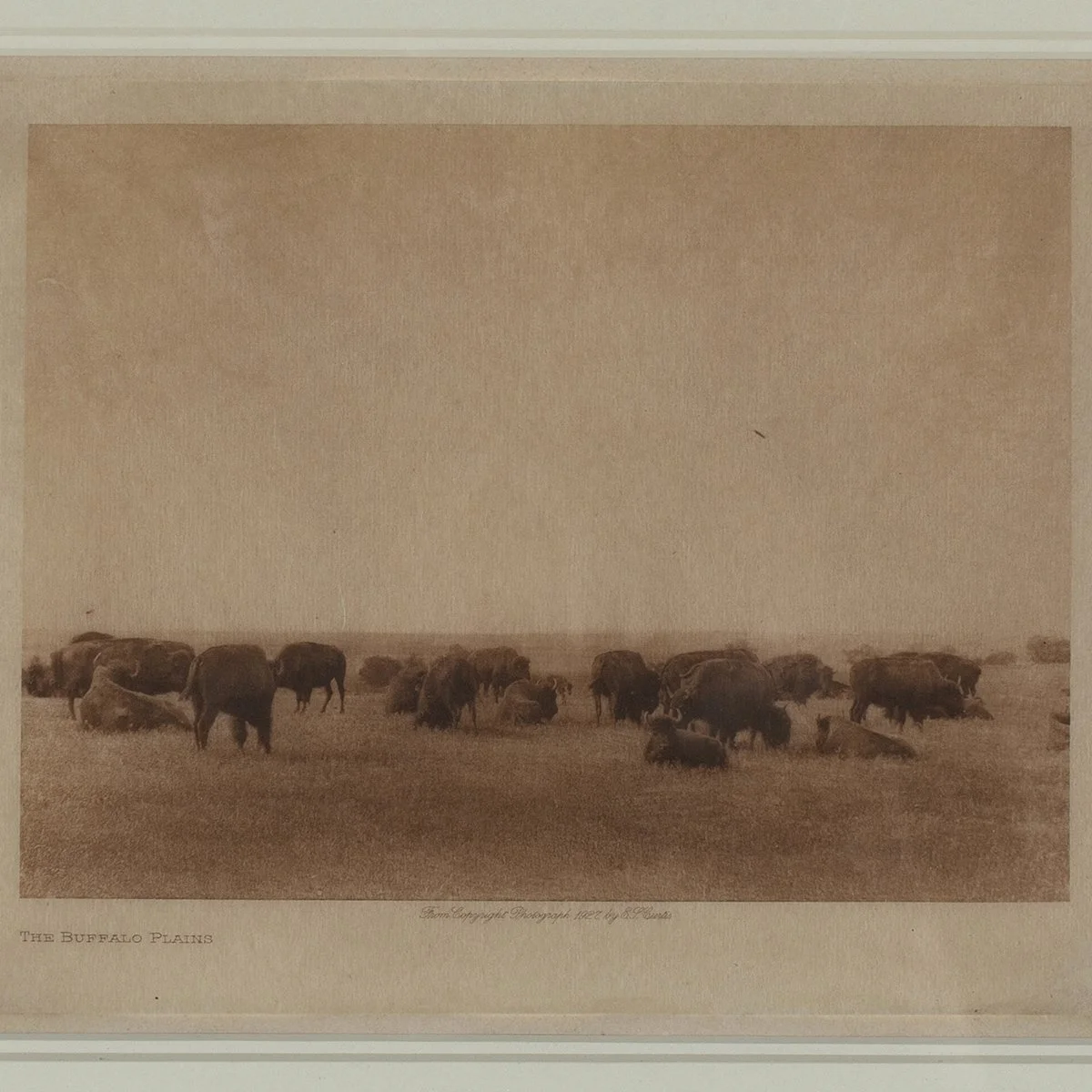 2419-Edward-Curtis-Photograph-The-Buffalo-Plains-Native-American-Photography-Art-Blackburn-2.jpg