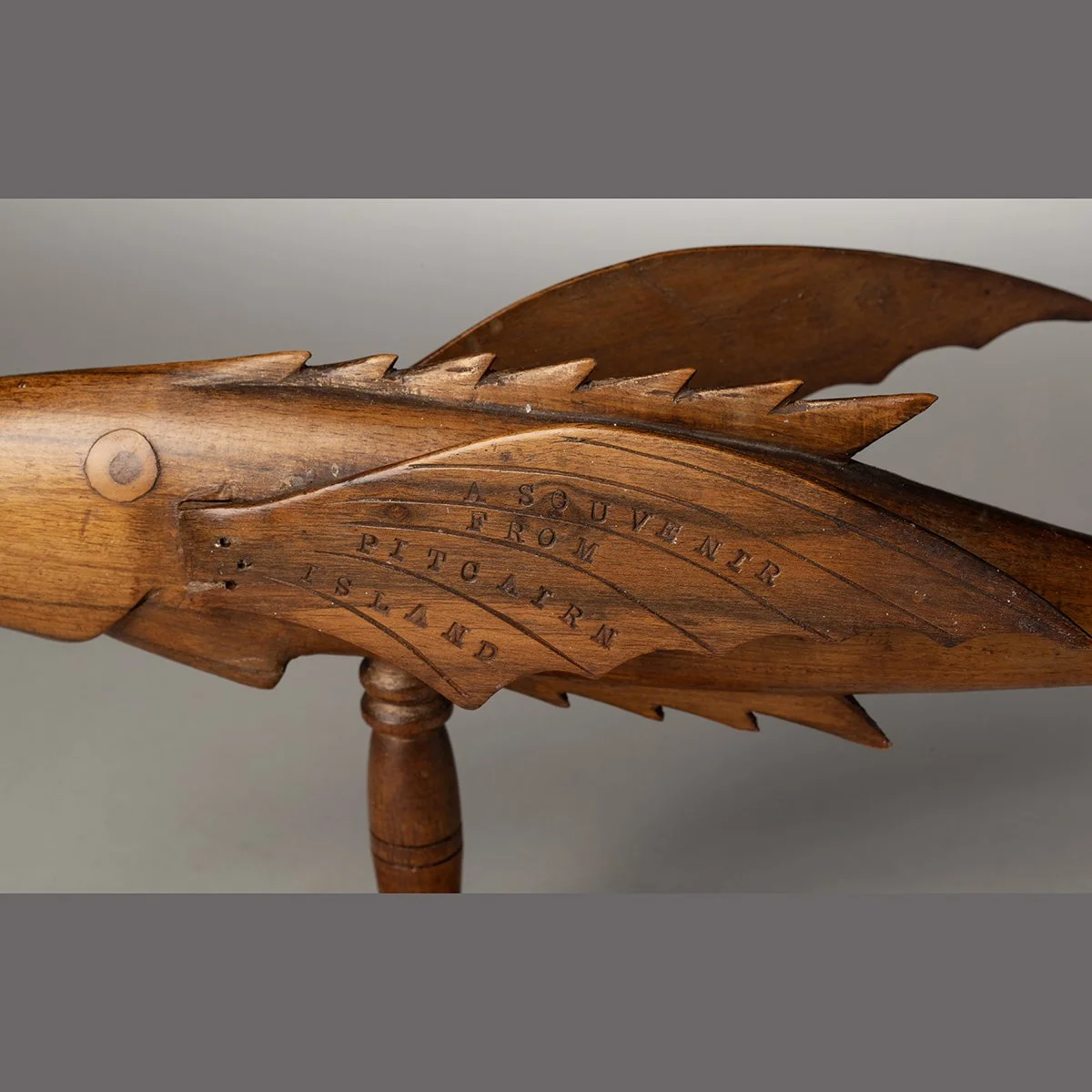 1580-Pitcarin-Island-Warren-Young-Flying-Fish-Oceanic-Art-Blackburn-7.jpg