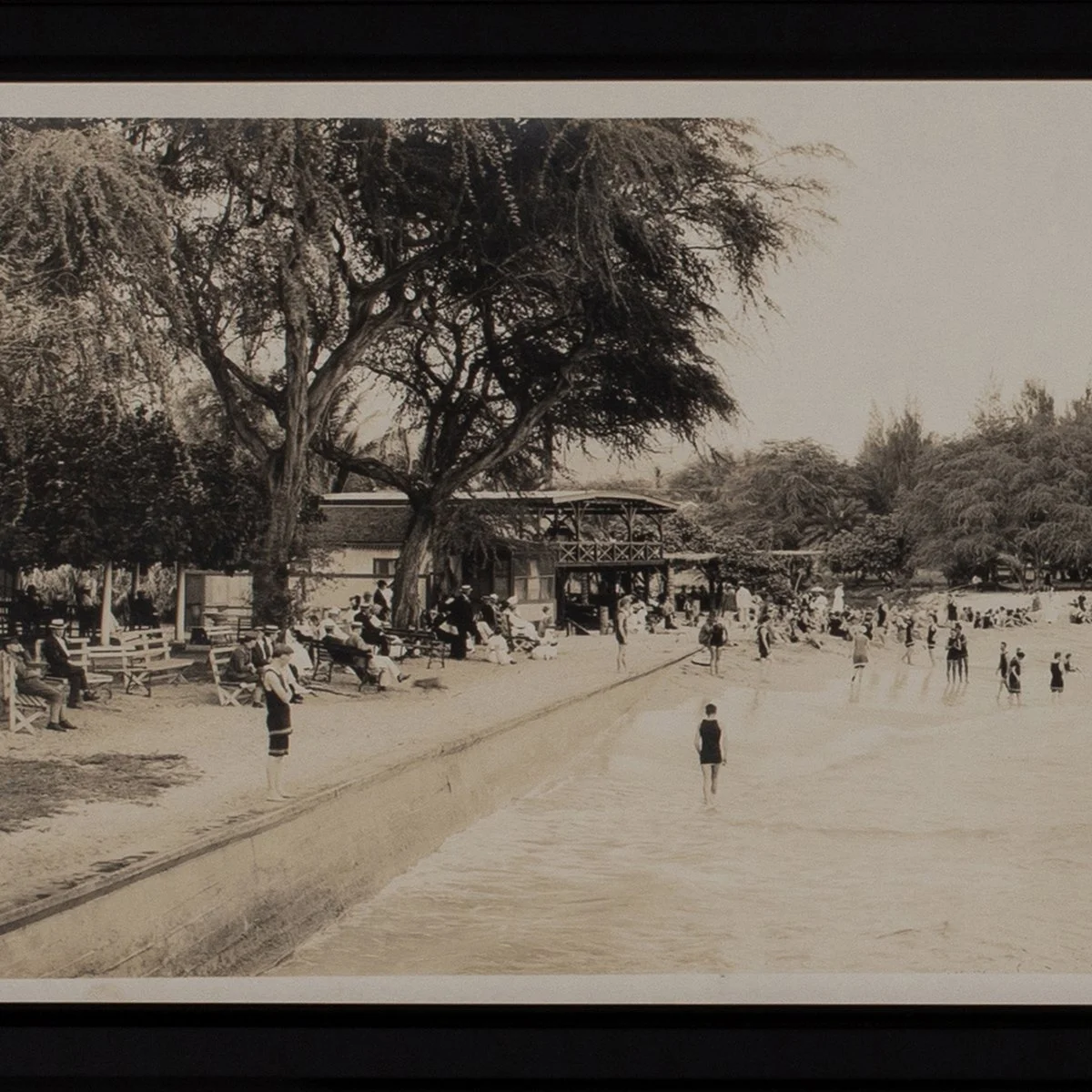 1782-Rare-Noggle-Panorama-Waikiki-Beach-1915-Hawaiian-Photography-Surf-Art-Blackburn-2.jpg