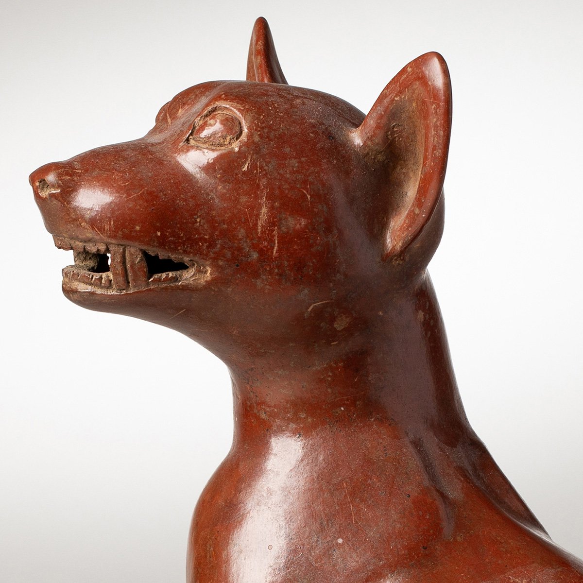 1347-Fine-Large-Seated-Colima-Dog-Pre-Columbian-Art-Blackburn-2.jpg
