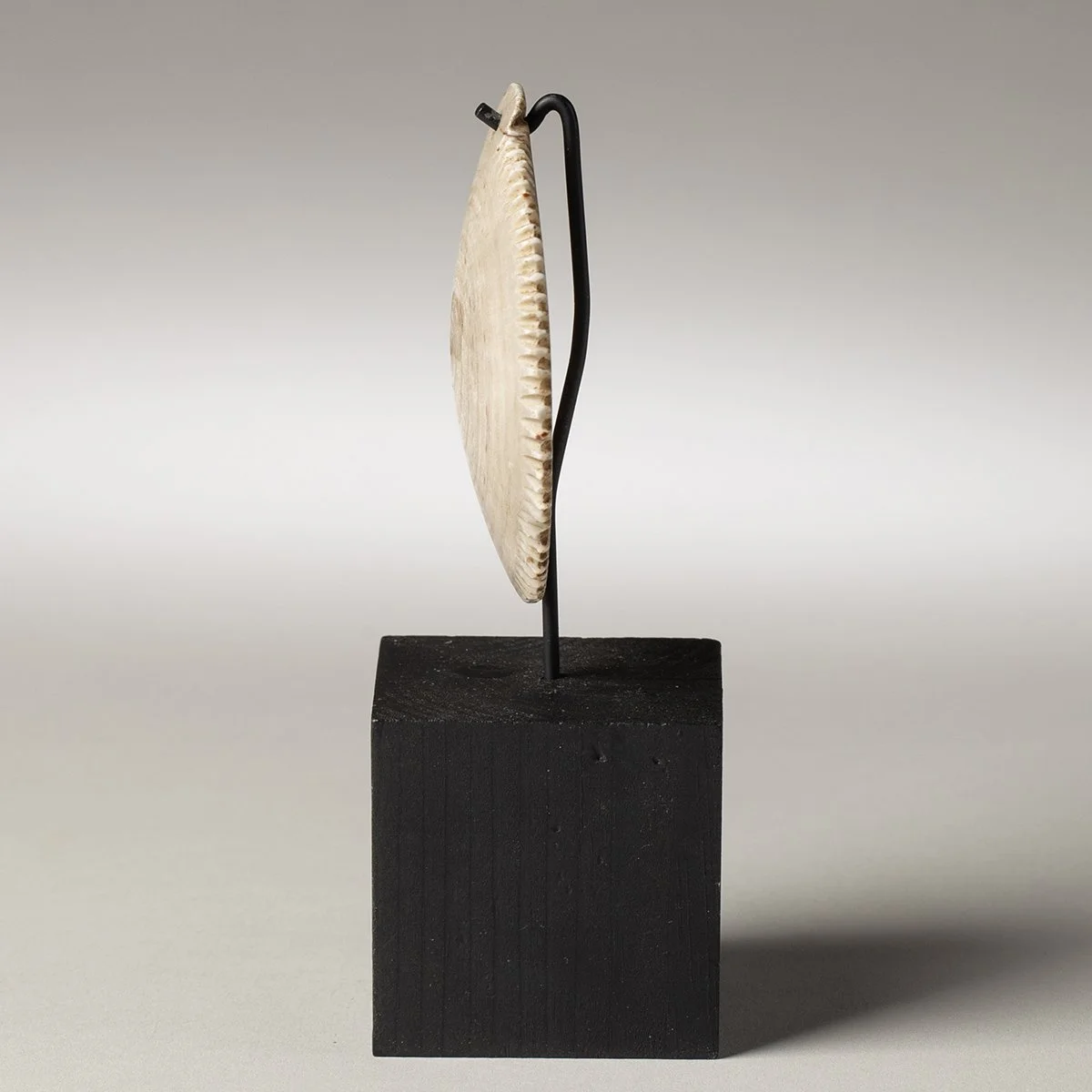 2245-Rare-Torres-Straits-Pendant-Oceanic-Art-Blackburn-4.jpg