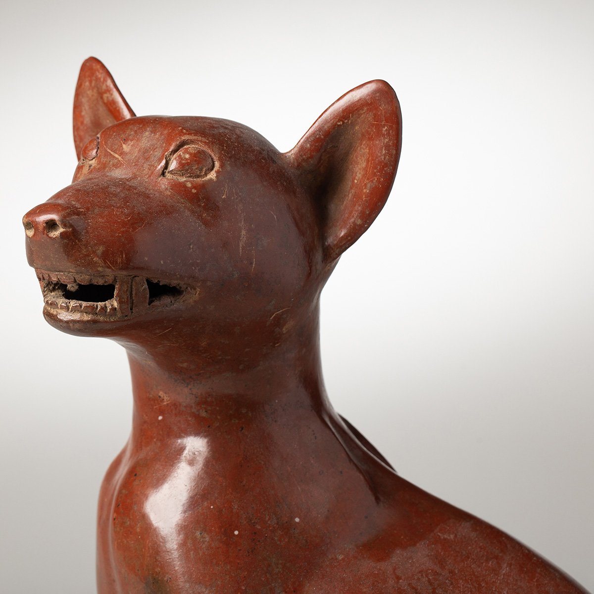 1347-Fine-Large-Seated-Colima-Dog-Pre-Columbian-Art-Blackburn-7.jpg