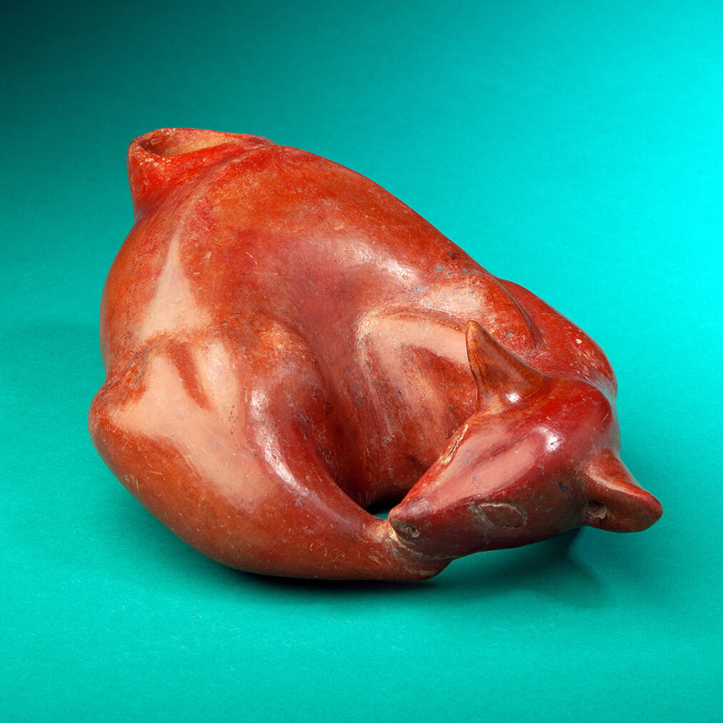 Sleeping-Colima-Dog-Pre-Columbian-Art-Blackburn-1.jpg