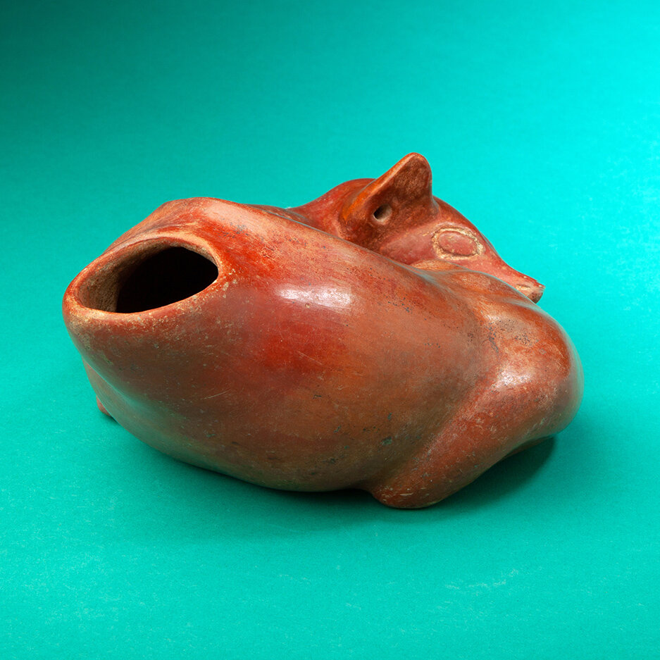Sleeping-Colima-Dog-Pre-Columbian-Art-Blackburn-3.jpg