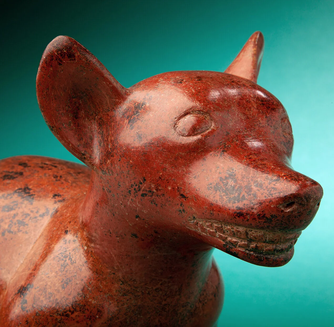 Colima-Dog2-Pre-Columbian-Art-Blackburn-4.jpg