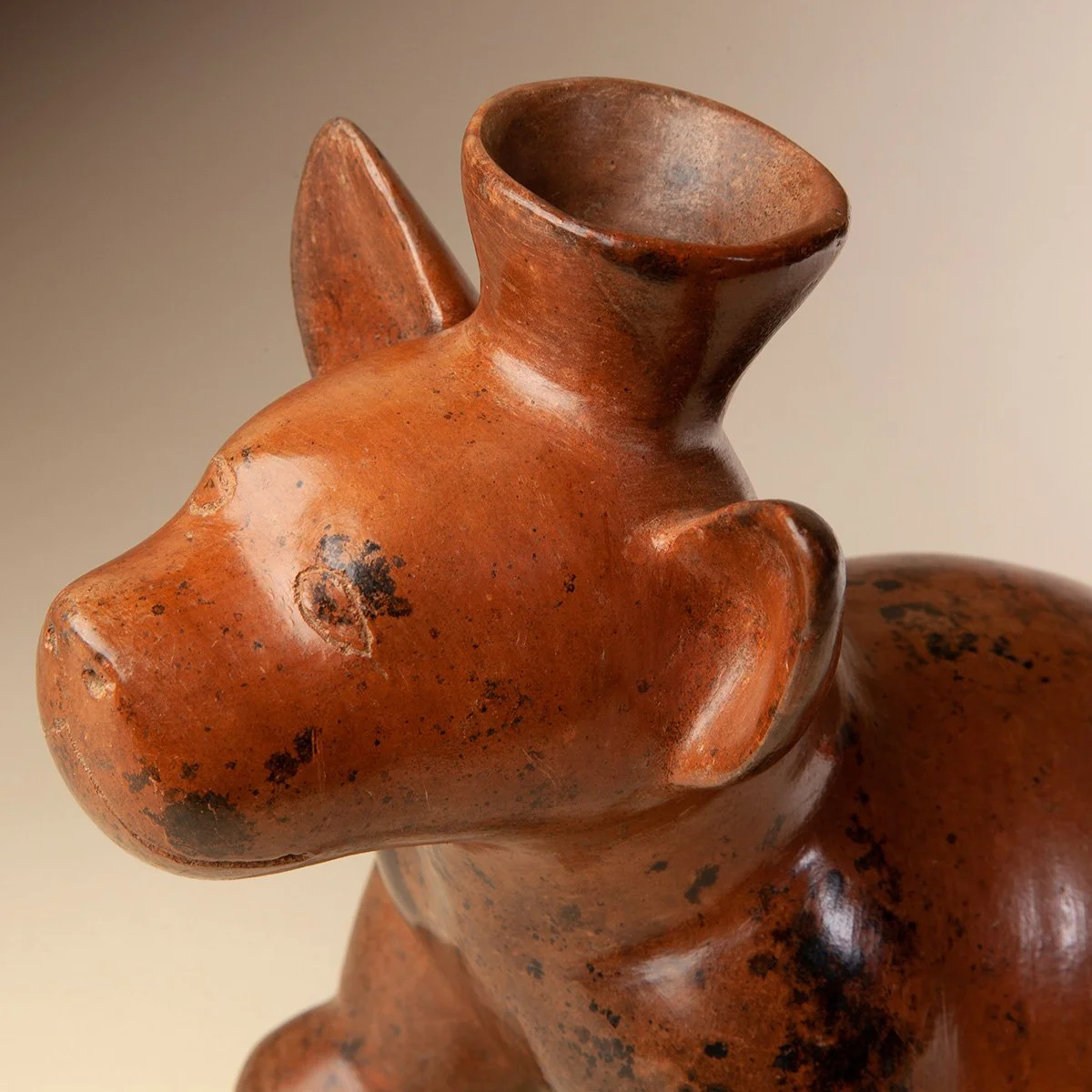 Colima-Pup-Pre-Columbian-Art-Blackburn-5.jpg