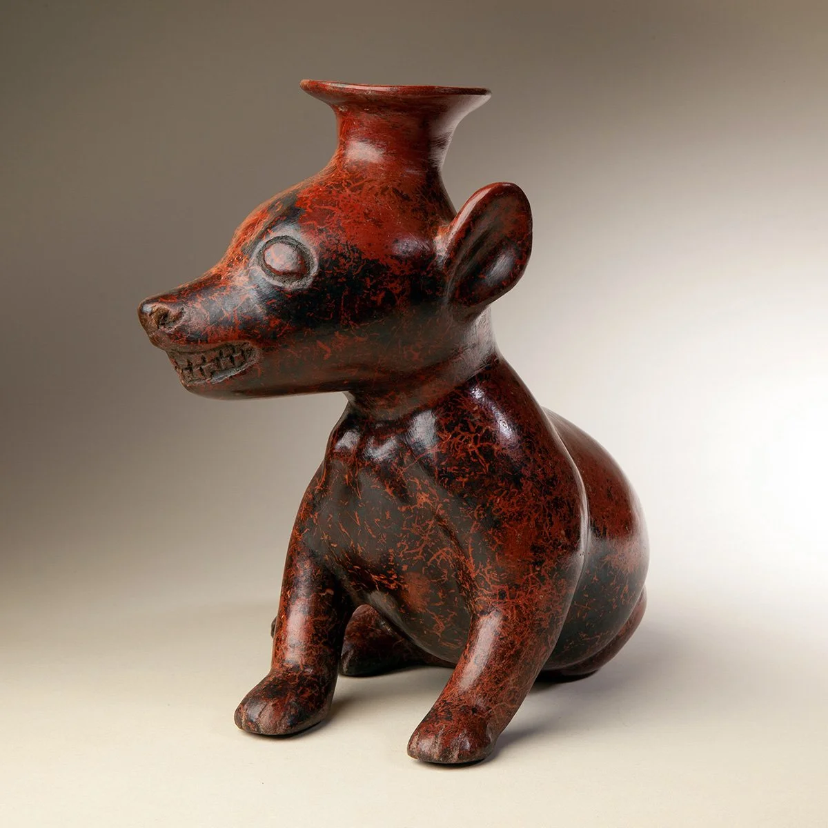Colima-Dog-looking-to-side-Pre-Columbian-Art-Blackburn-2.jpg