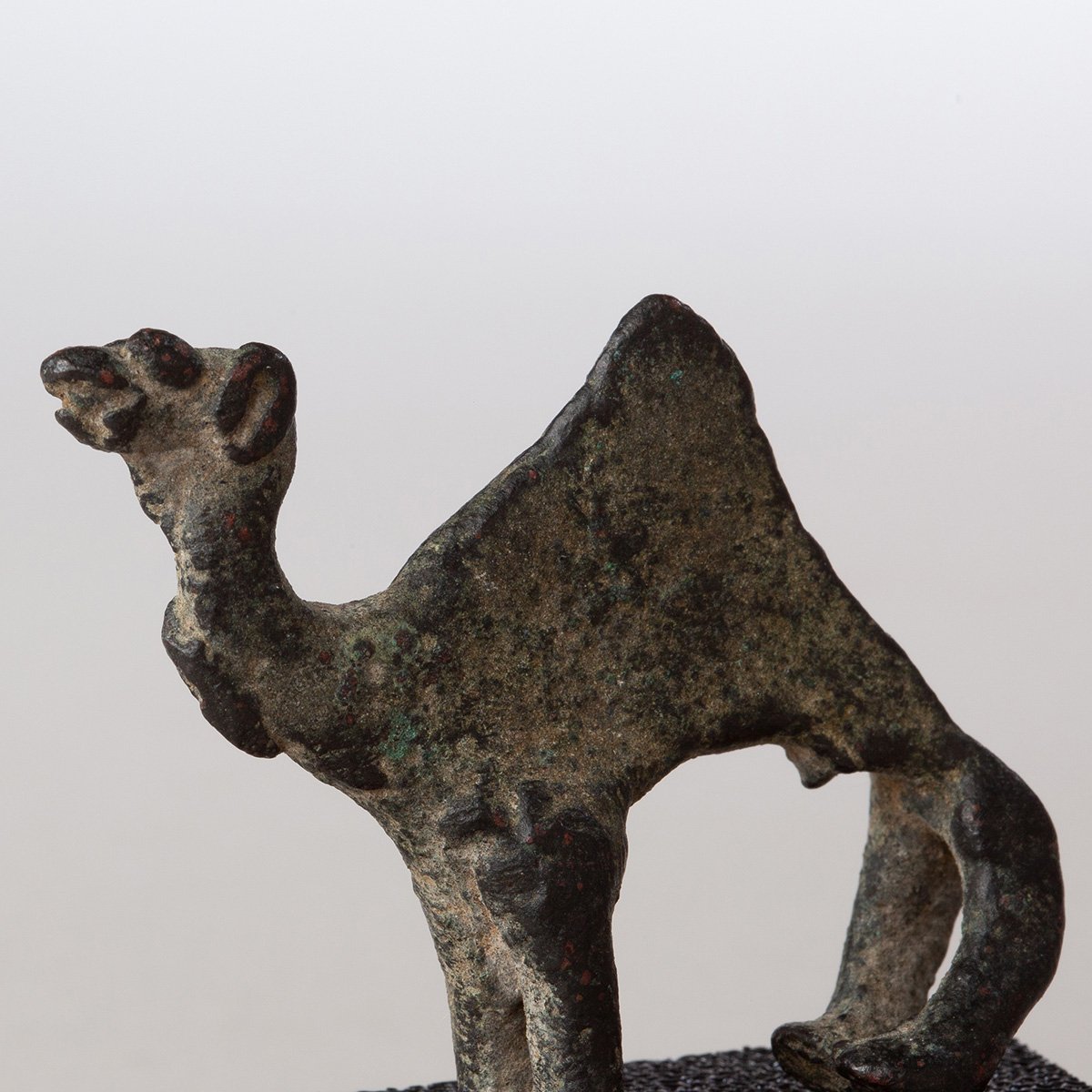 Bronze-Votive-Camel-Curiosities-Art-Blackburn-5.jpg
